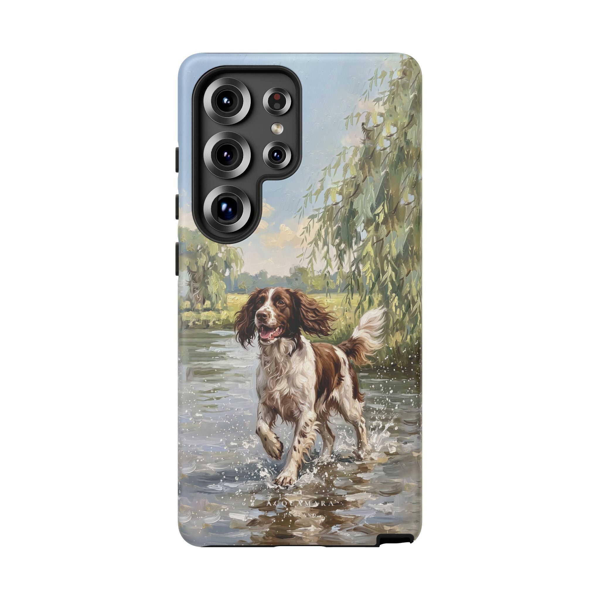 The Springer Spaniel (Liver and White)