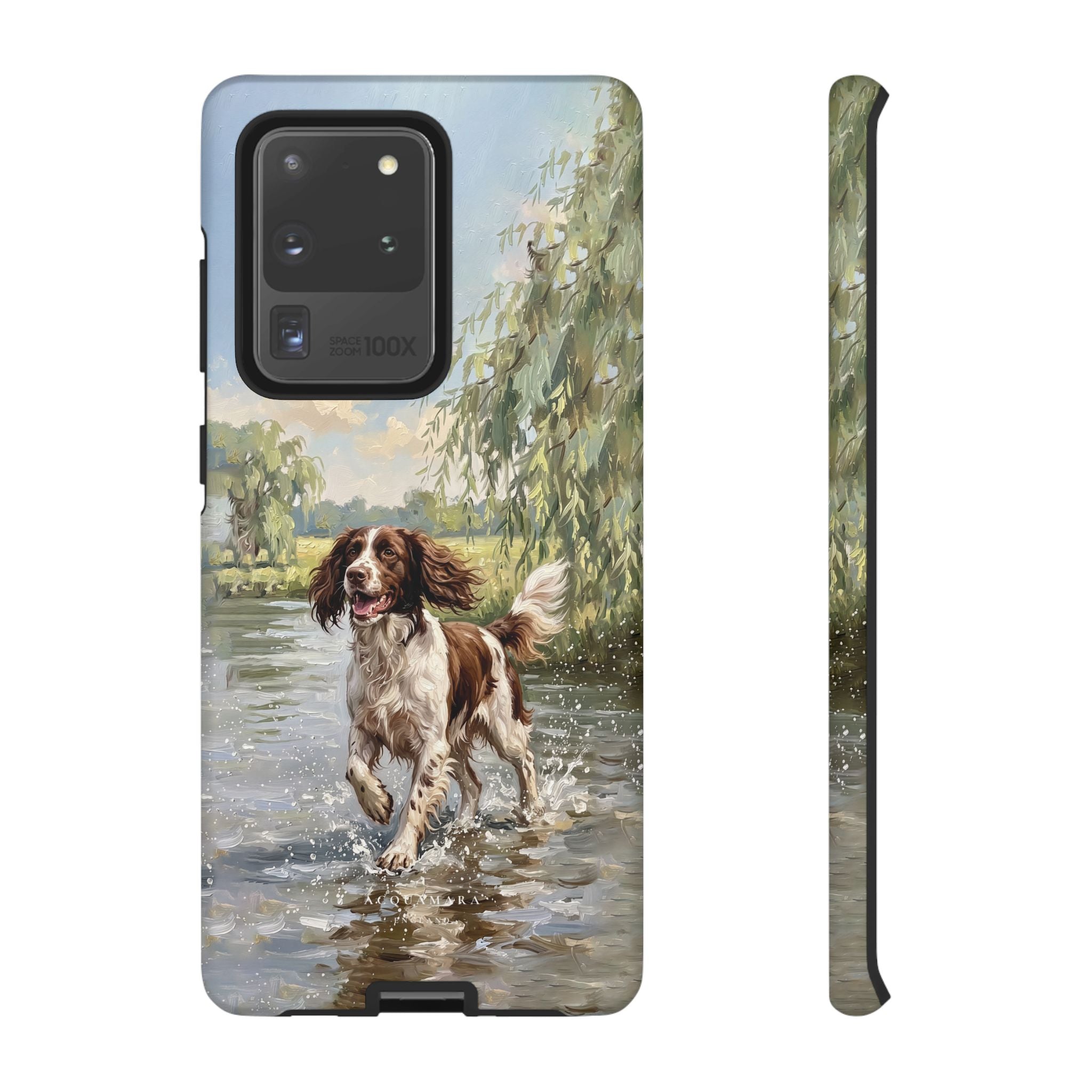 The Springer Spaniel (Liver and White)