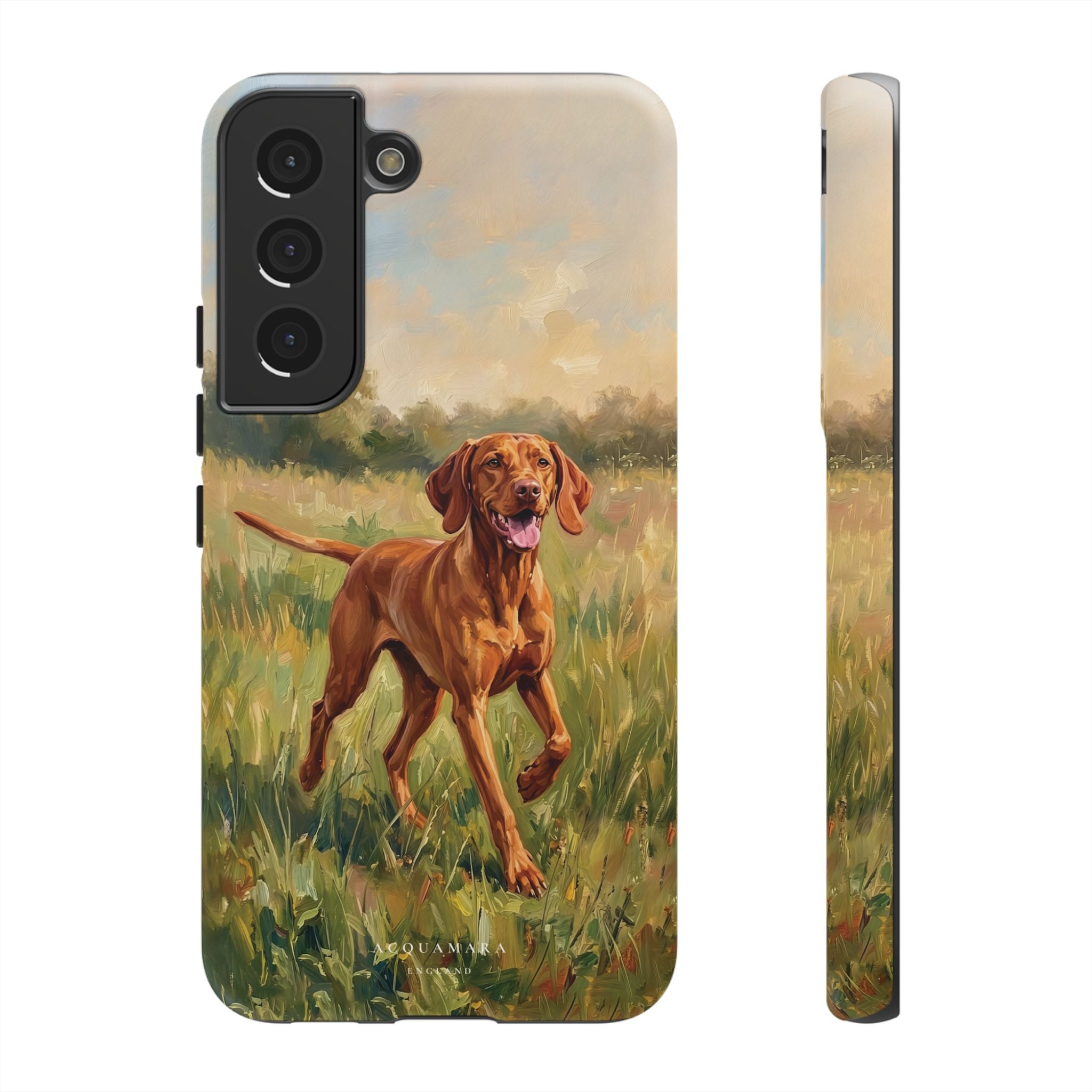 The Hungarian Vizsla