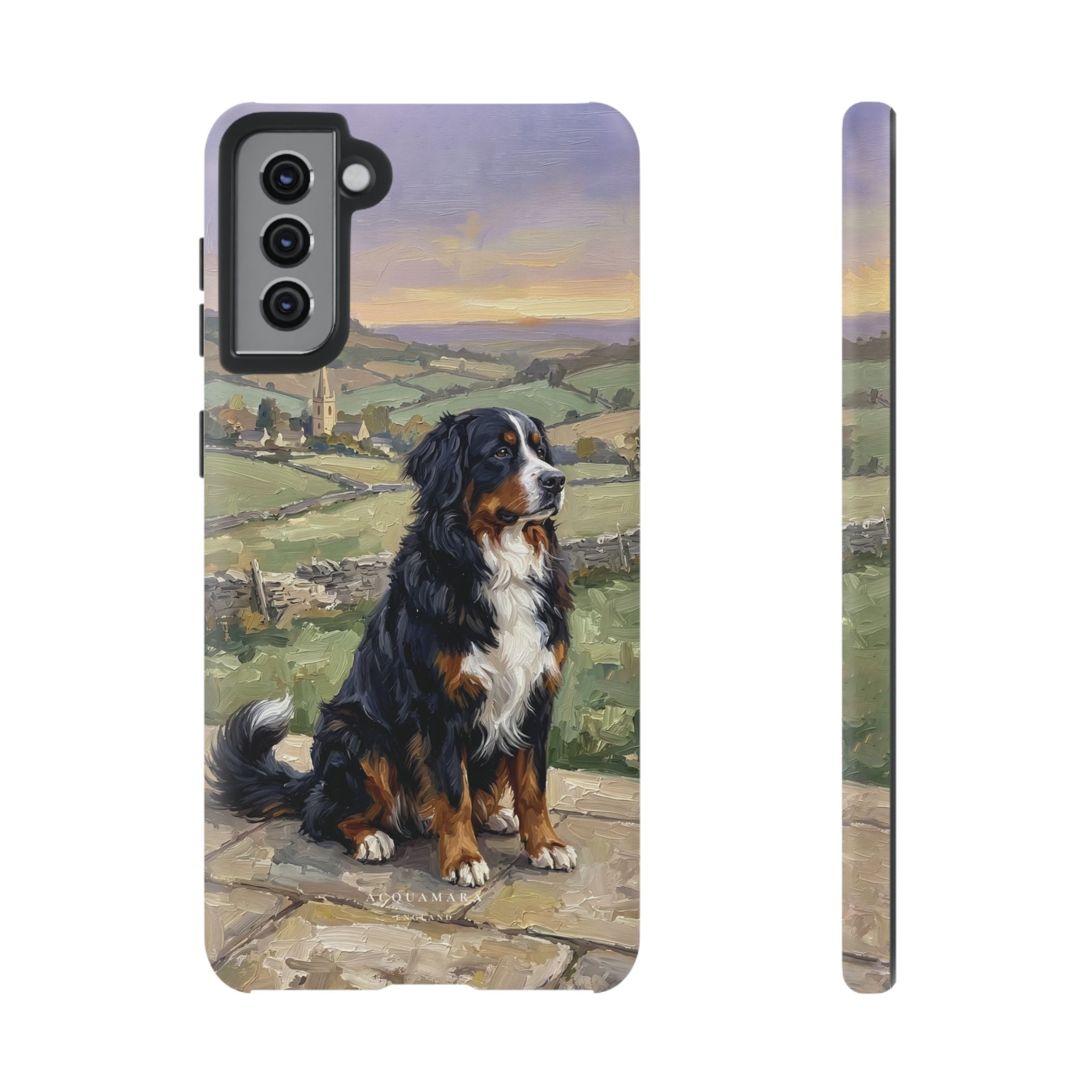 The Bernese Mountain Dog