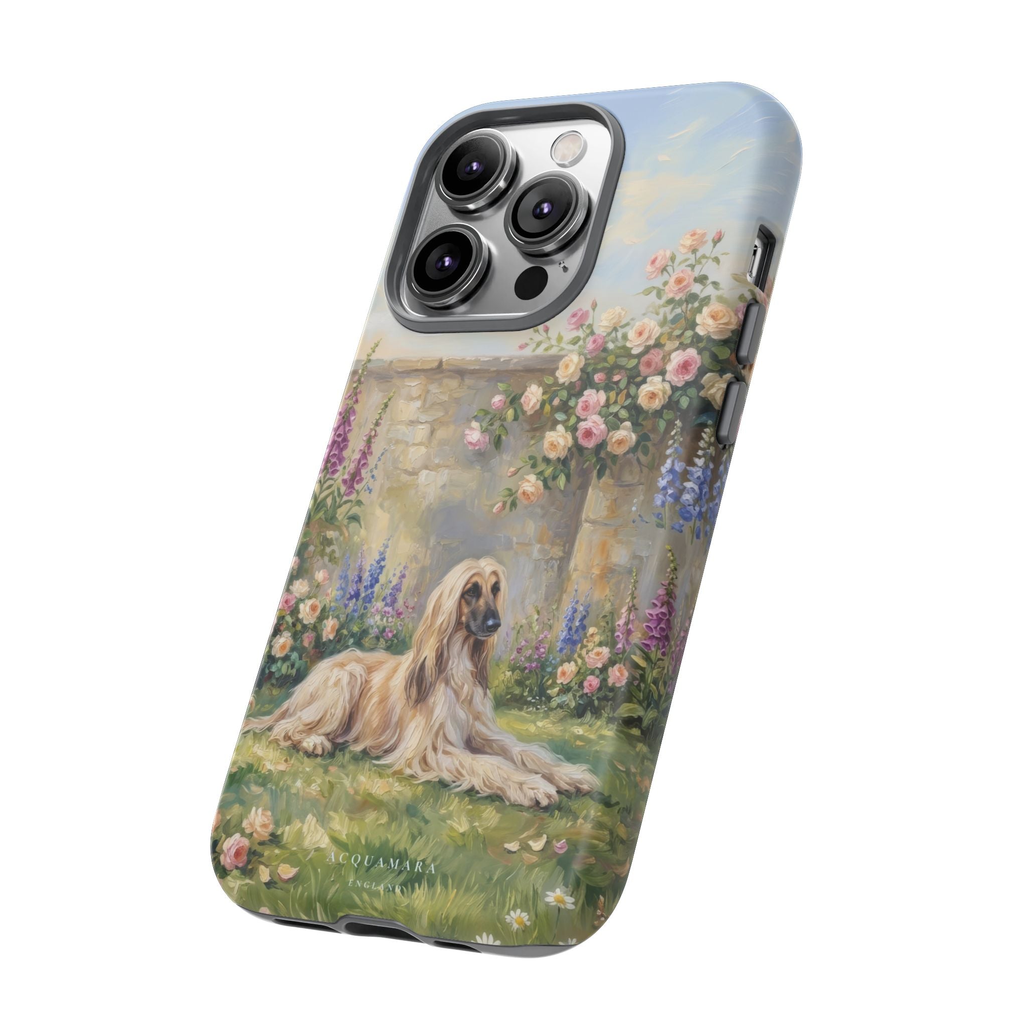The Afghan Hound (Standard)
