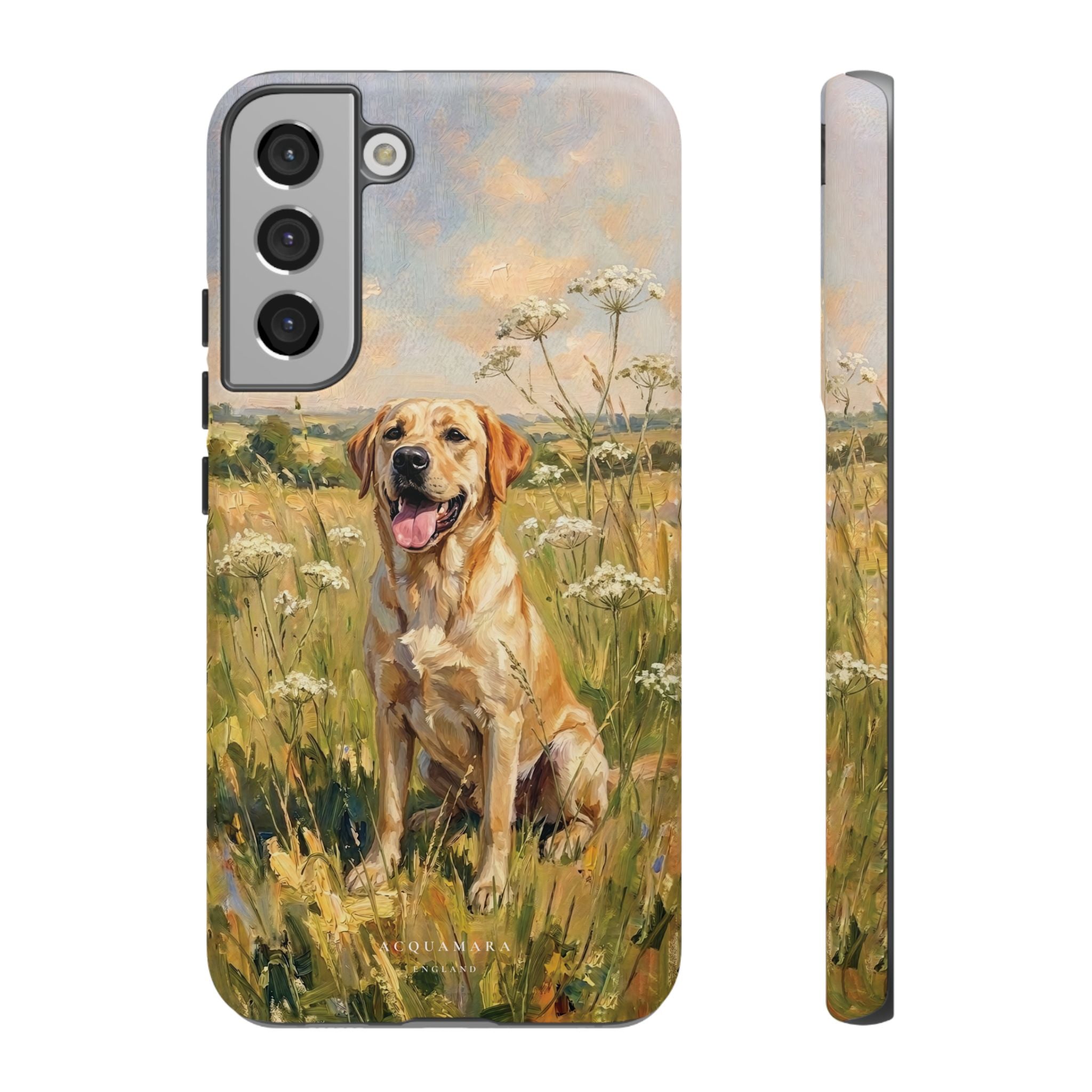 The Labrador (Yellow)