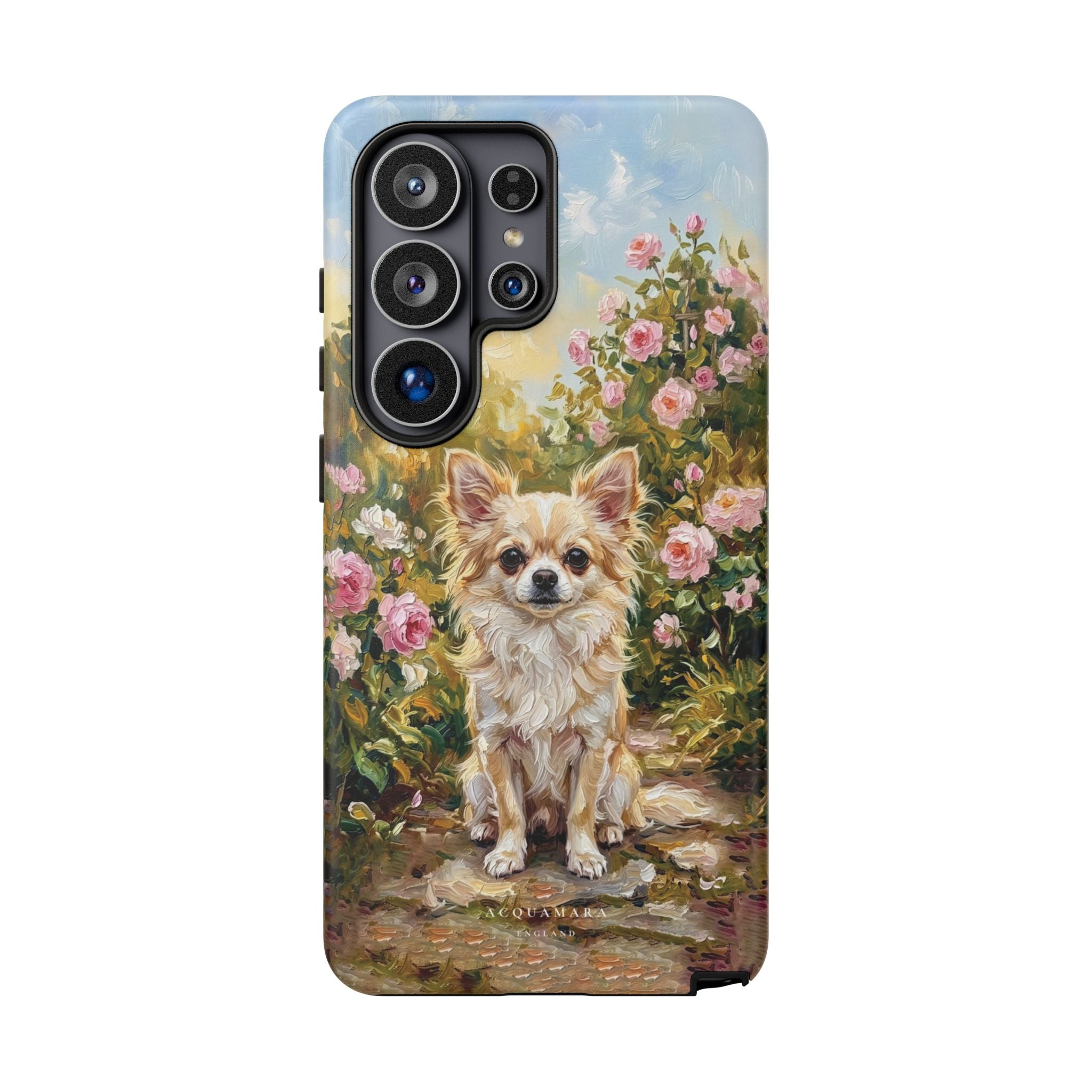 The Chihuahua - Longcoat
