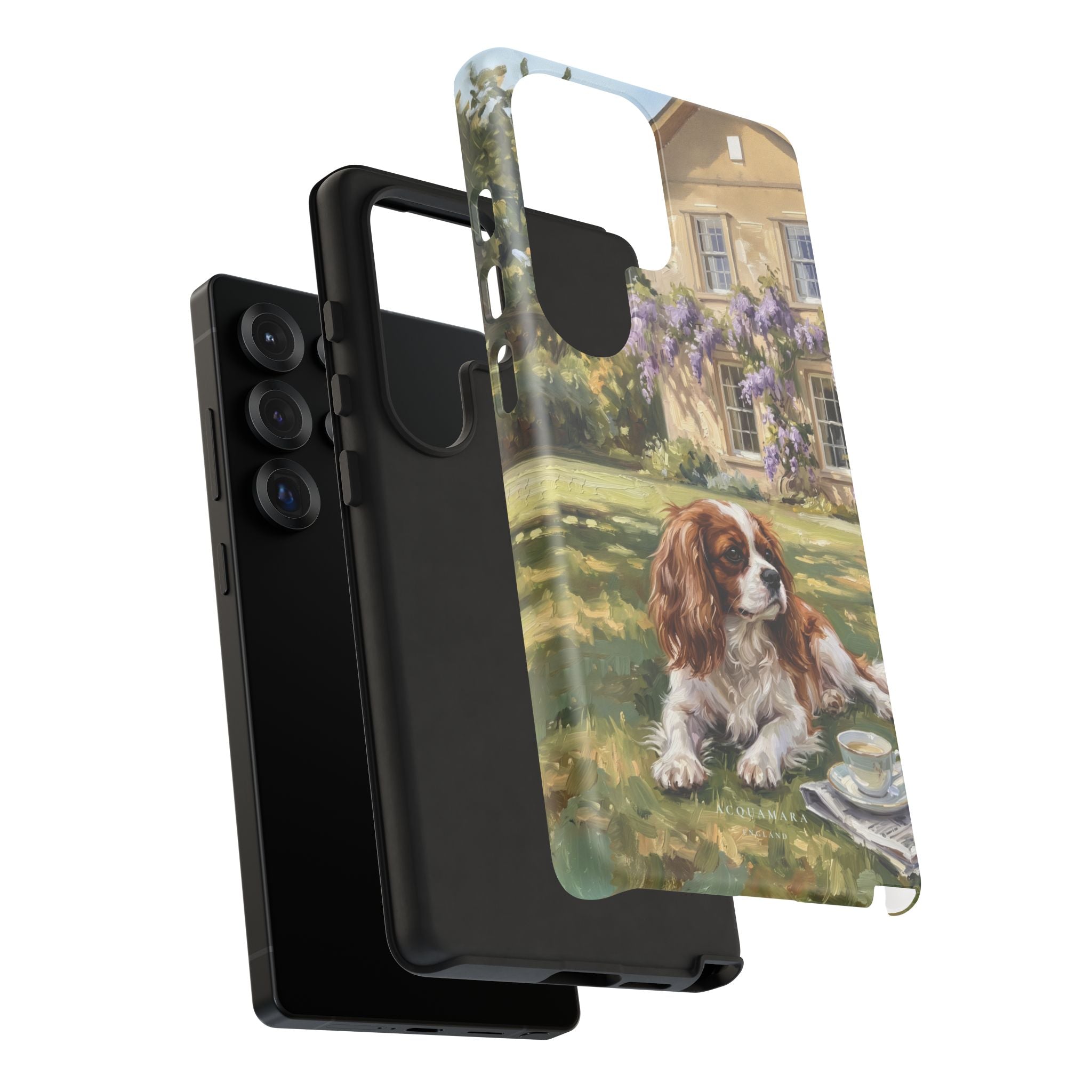 The Cavalier King Charles Spaniel
