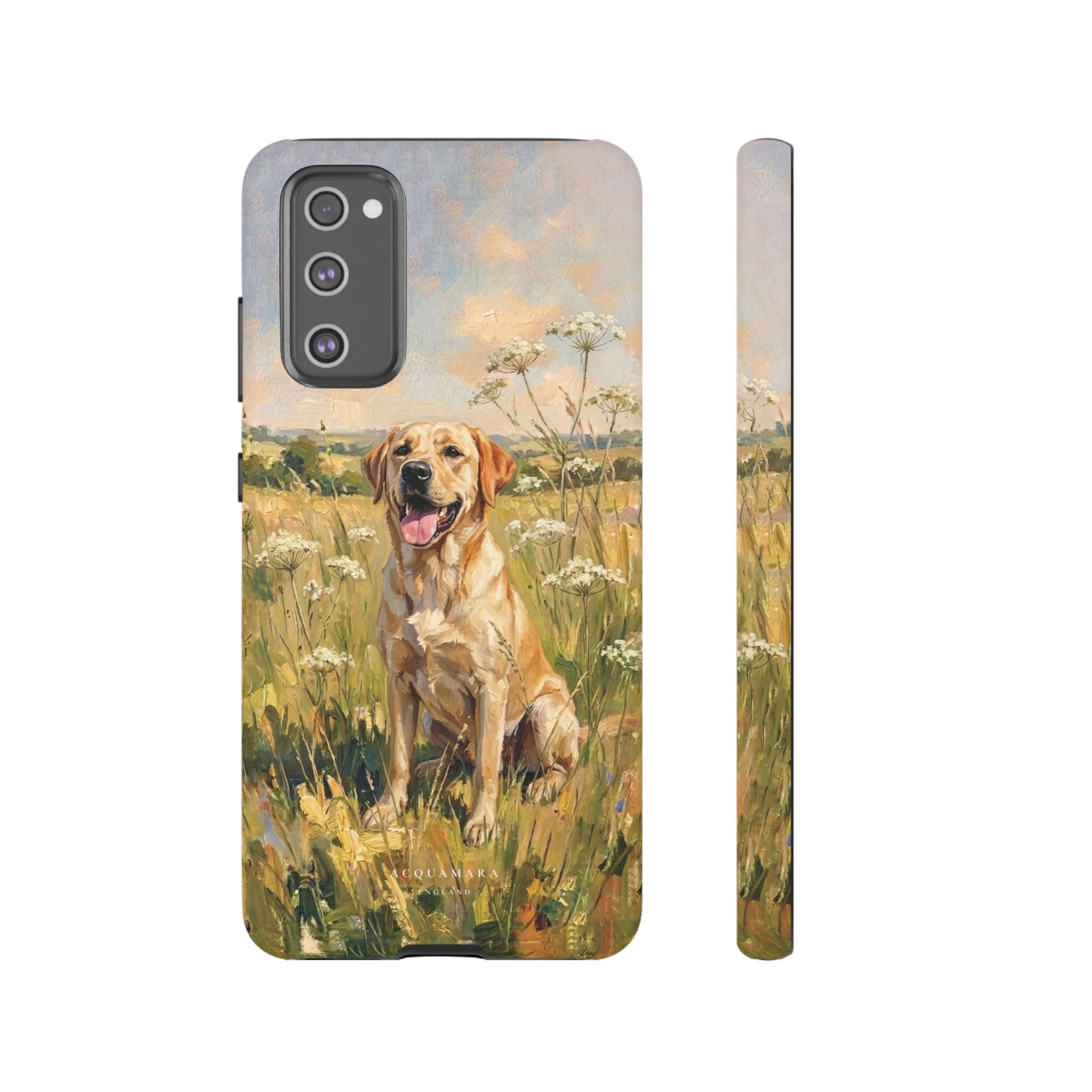 The Labrador (Yellow)