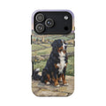 The Bernese Mountain Dog
