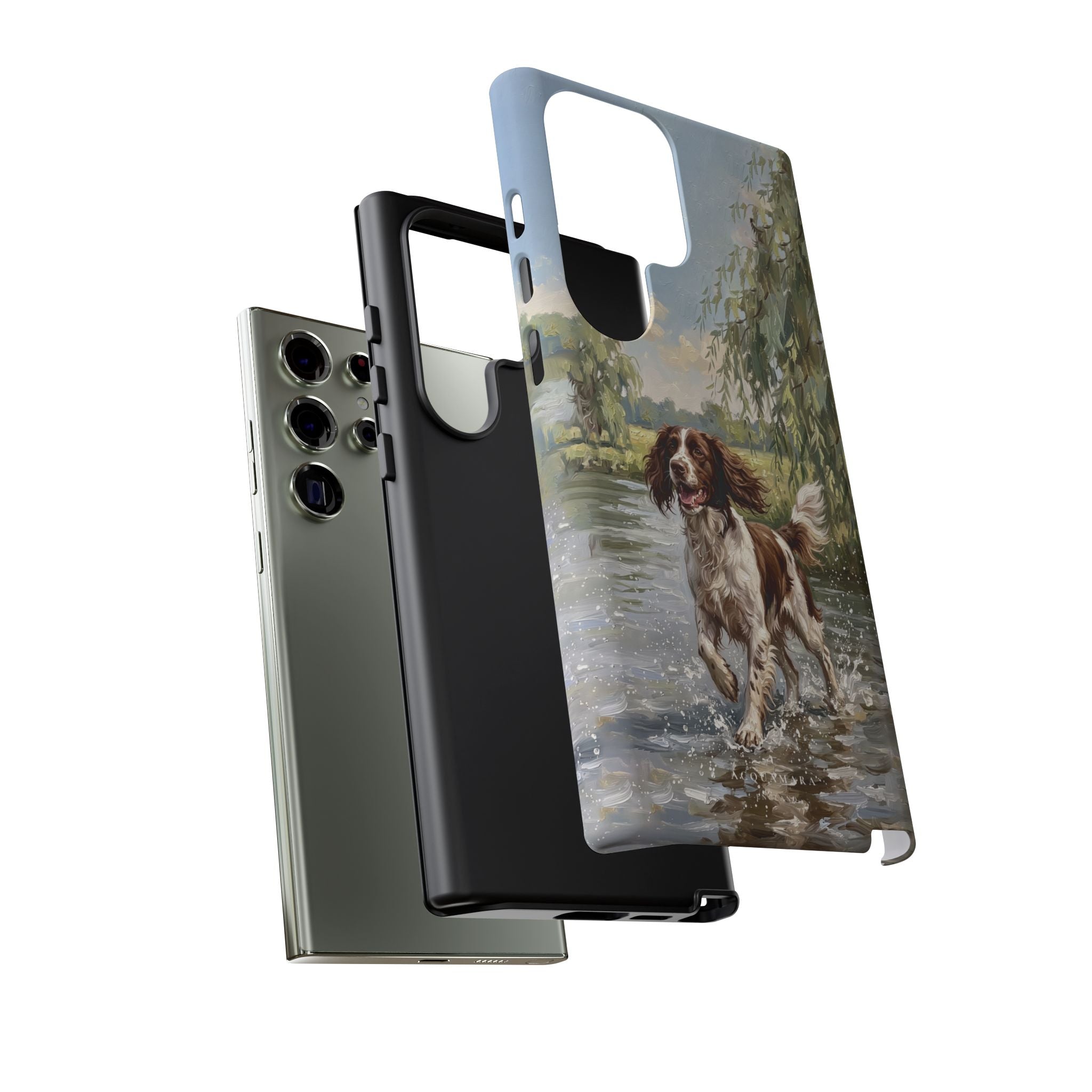 The Springer Spaniel (Liver and White)