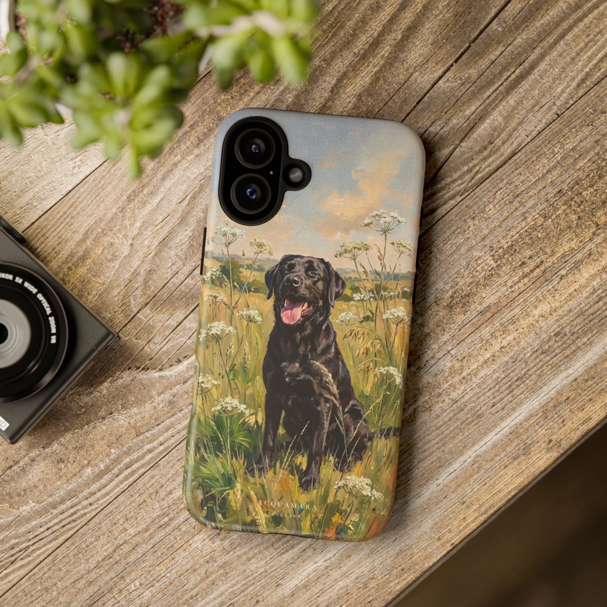 The Labrador (Black)