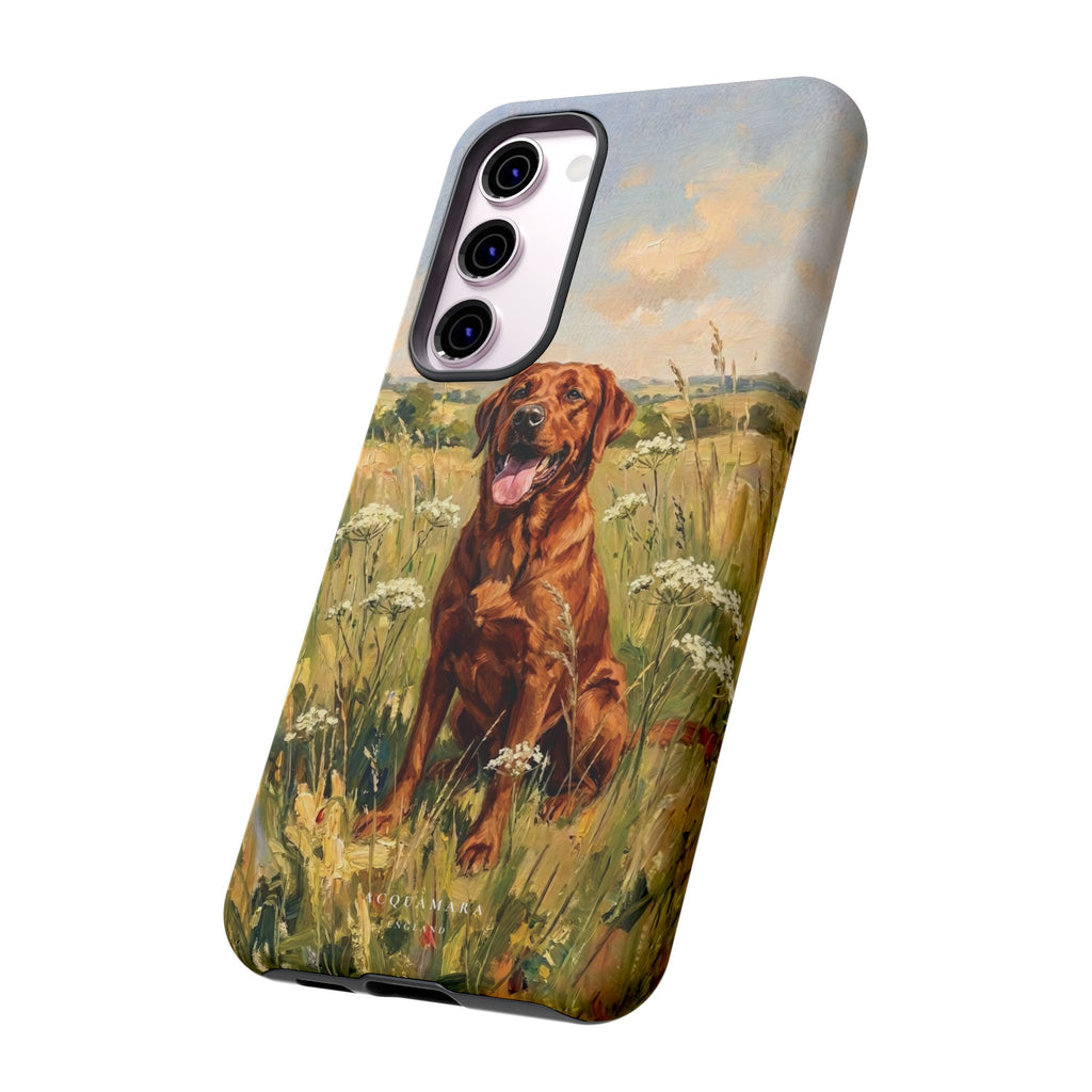The Labrador (Red)