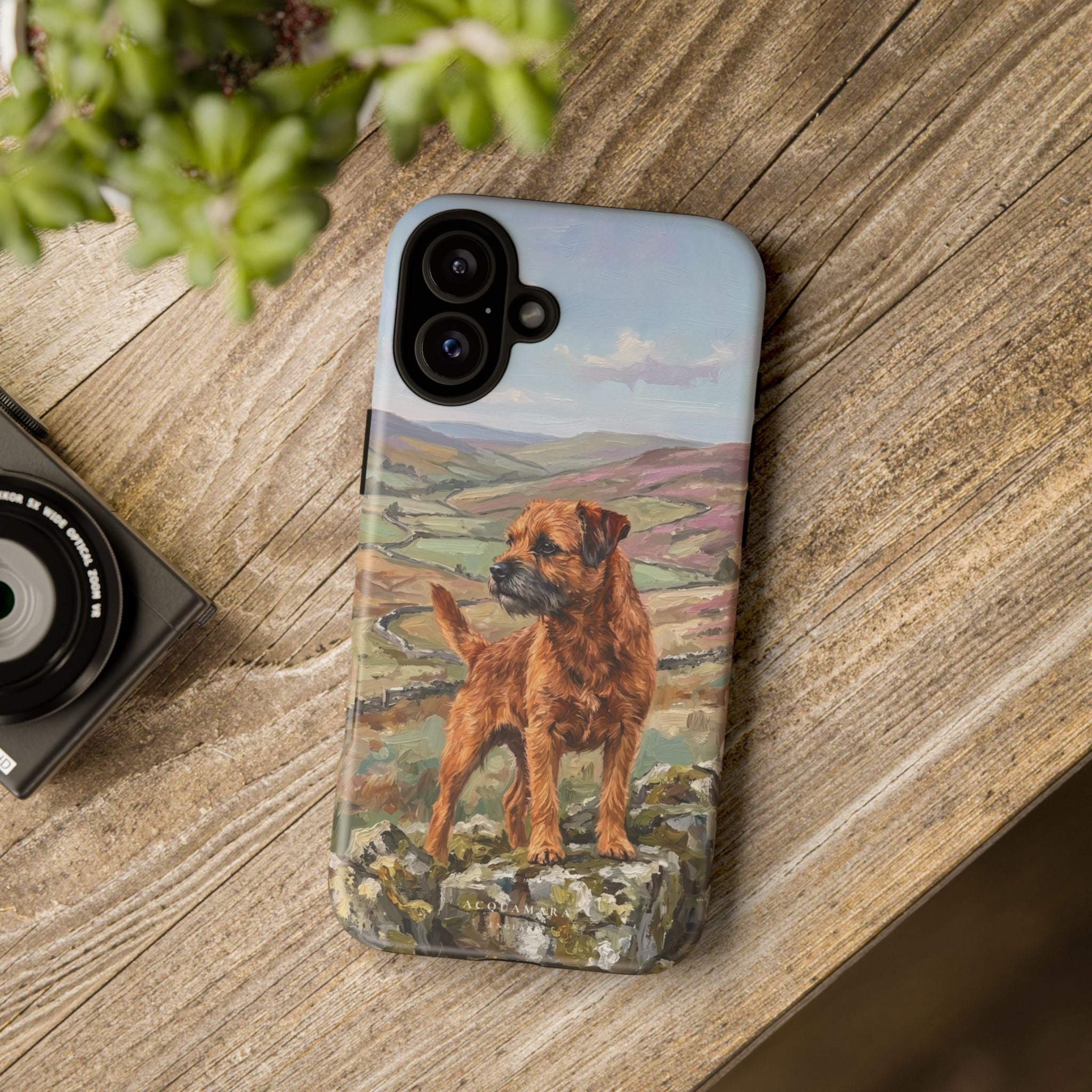 The Border Terrier (Red)