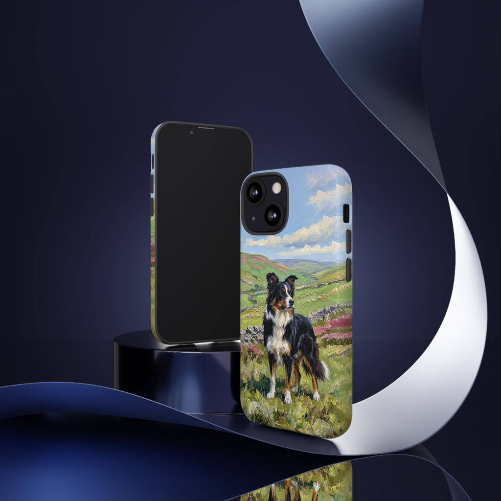 The Border Collie