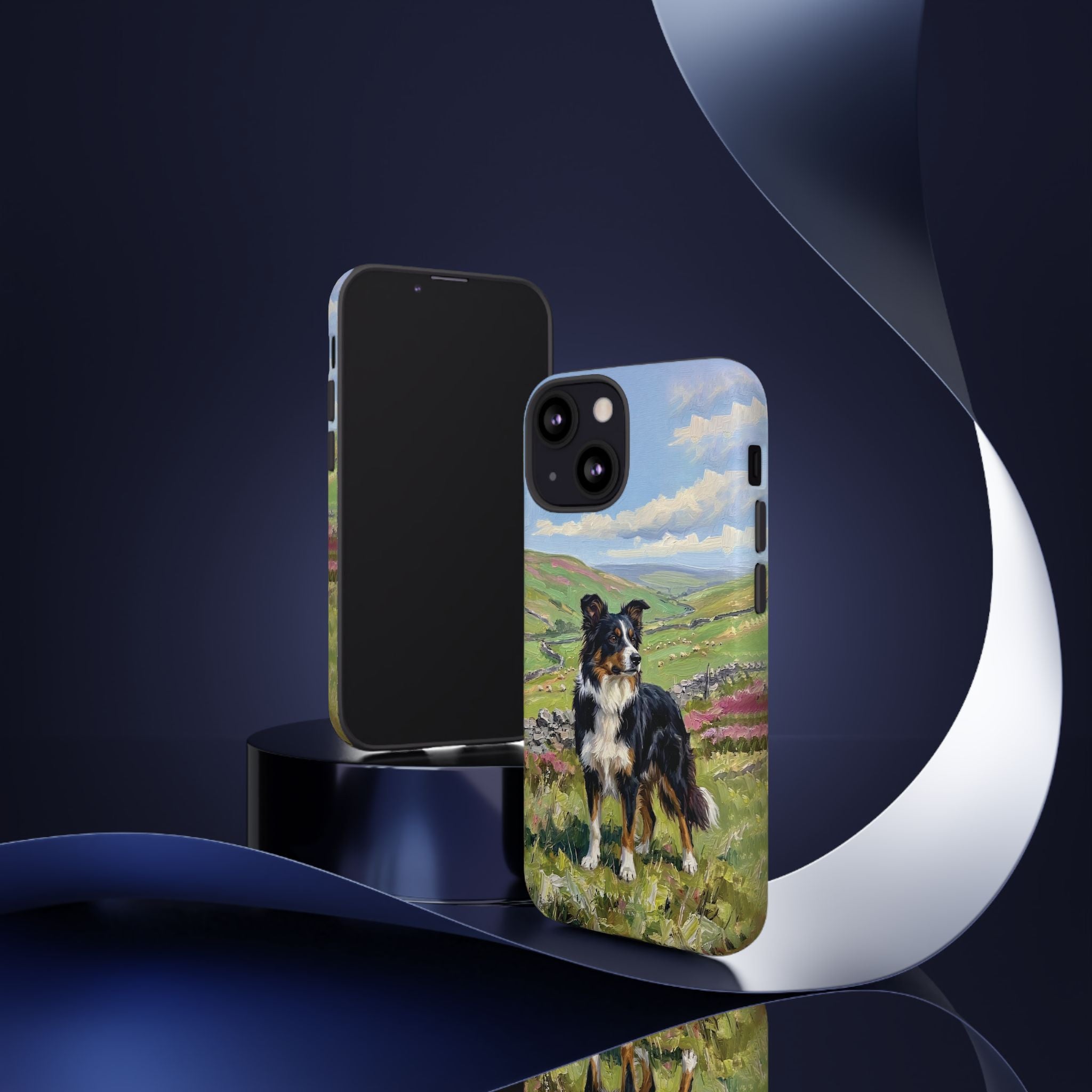 The Border Collie