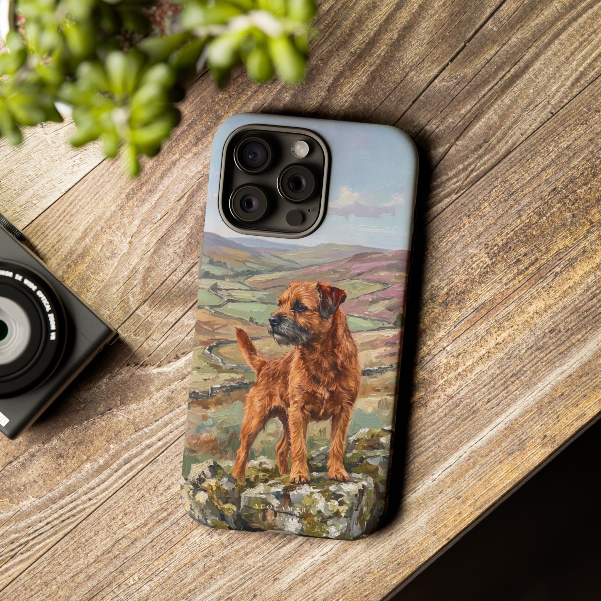 The Border Terrier (Red)