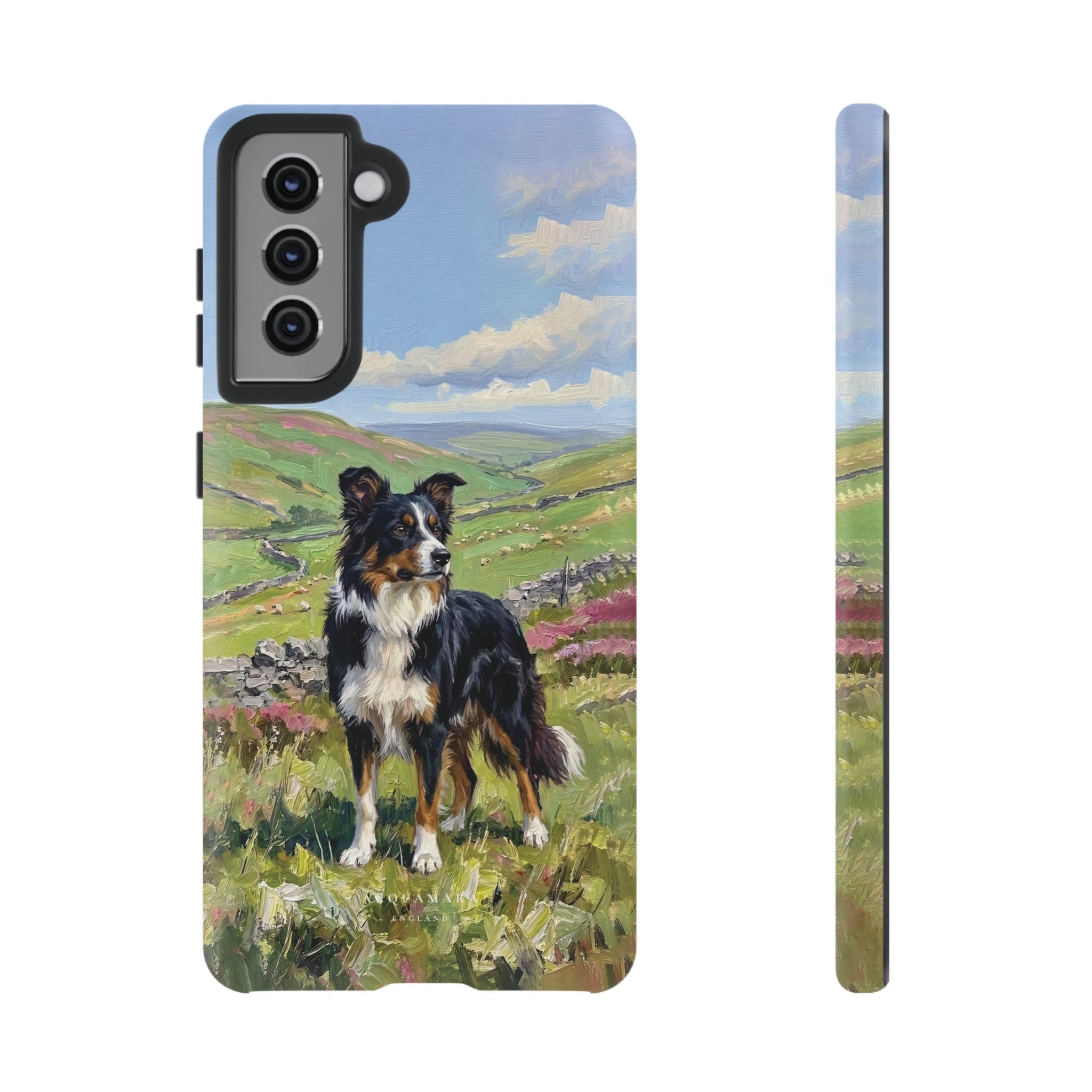 The Border Collie