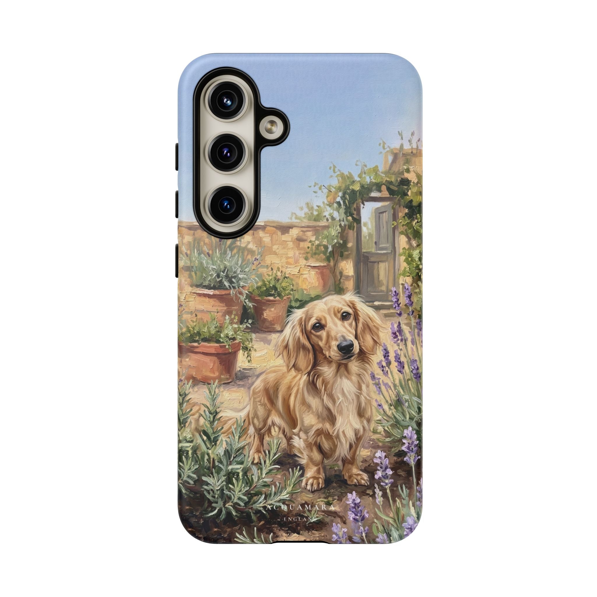 The Dachshund (Blonde long hair)