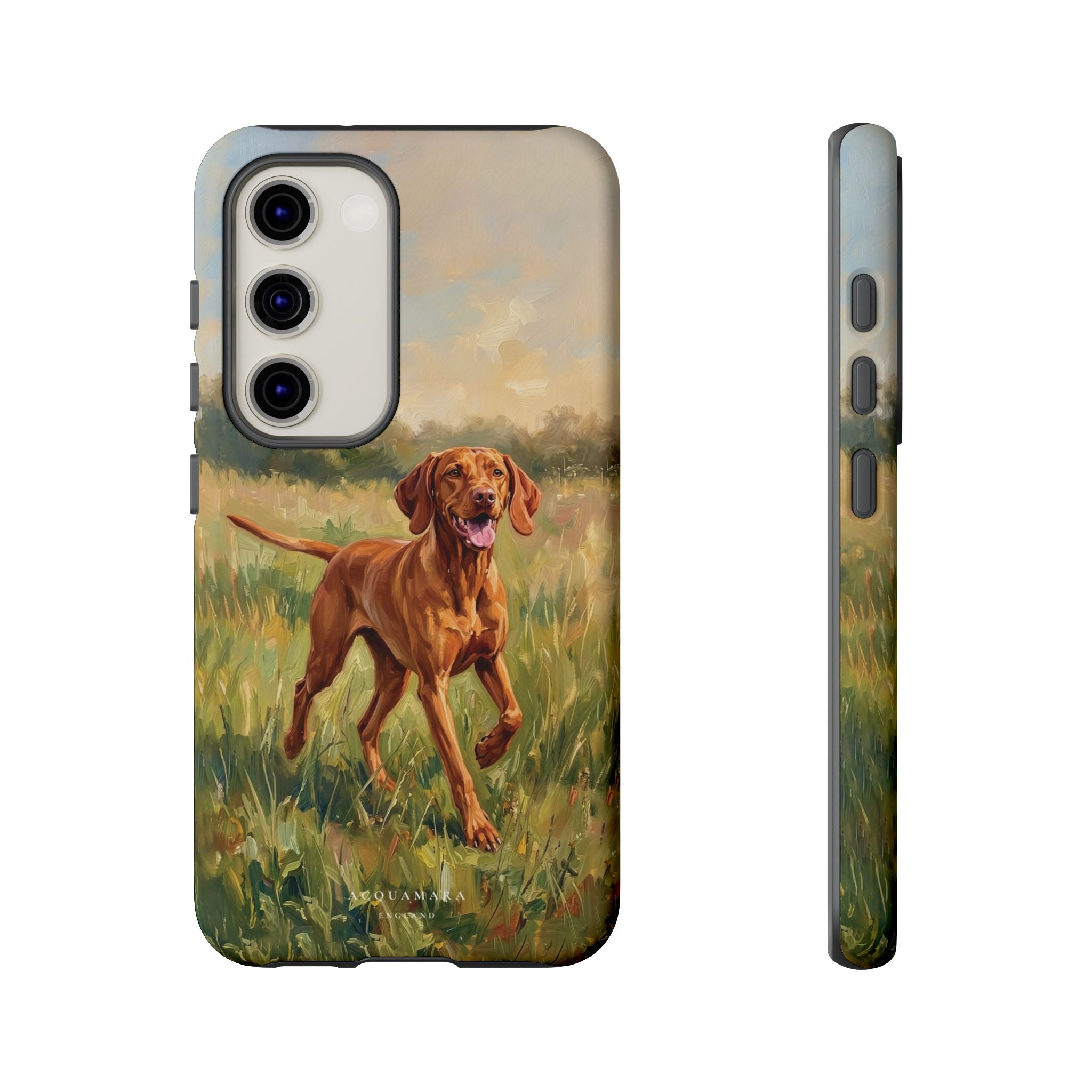 The Hungarian Vizsla