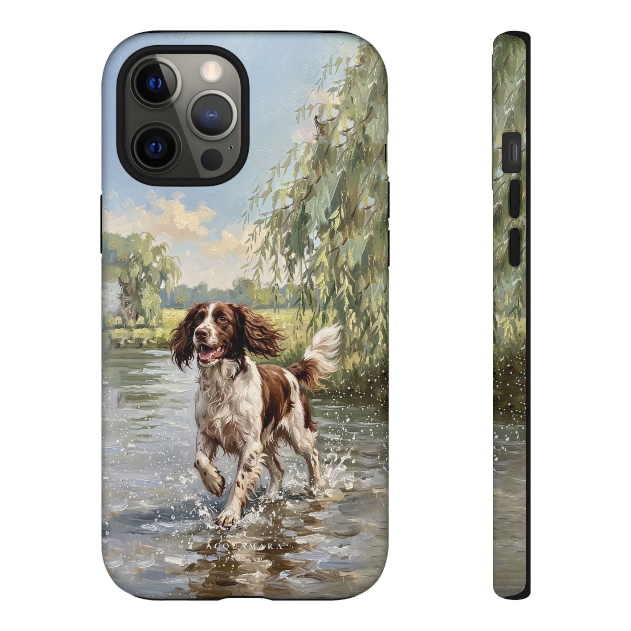 The Springer Spaniel (Liver and White)