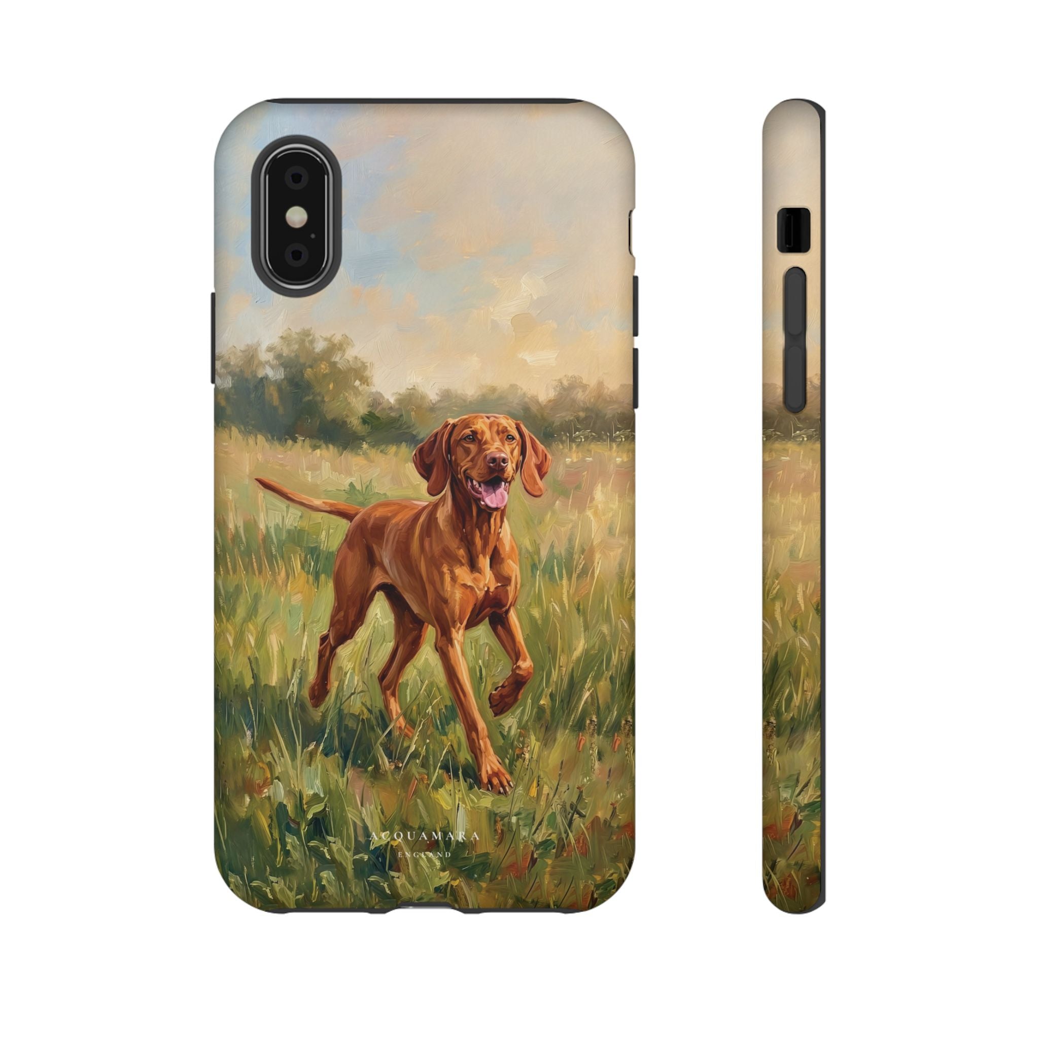 The Hungarian Vizsla