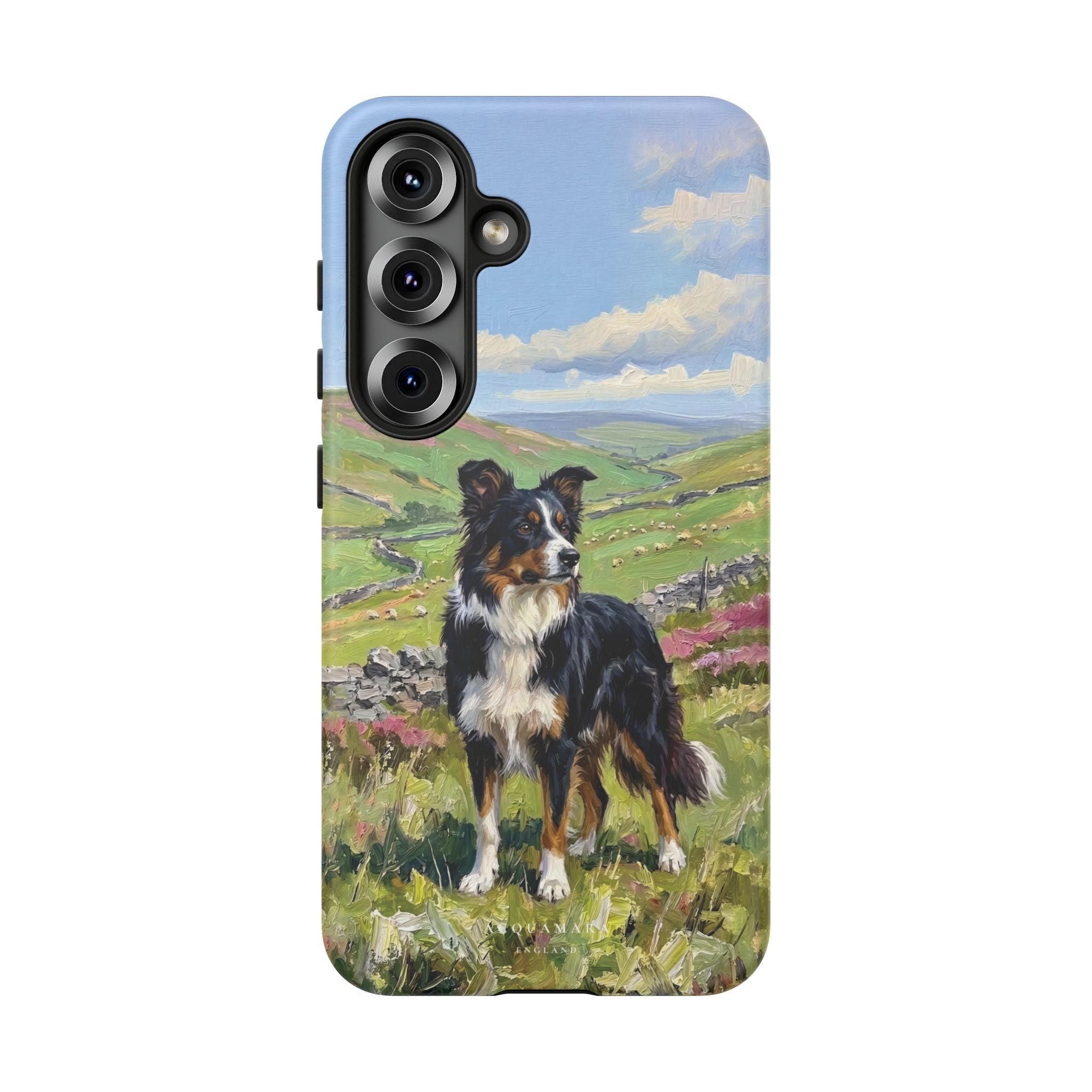 The Border Collie