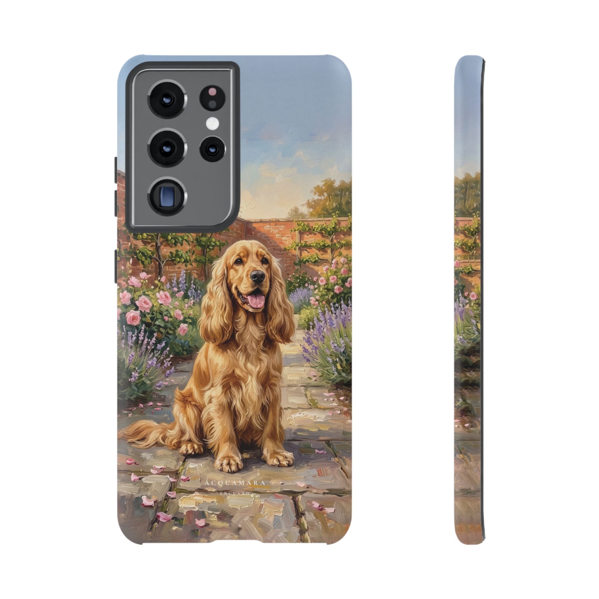 The Show Cocker (Golden)