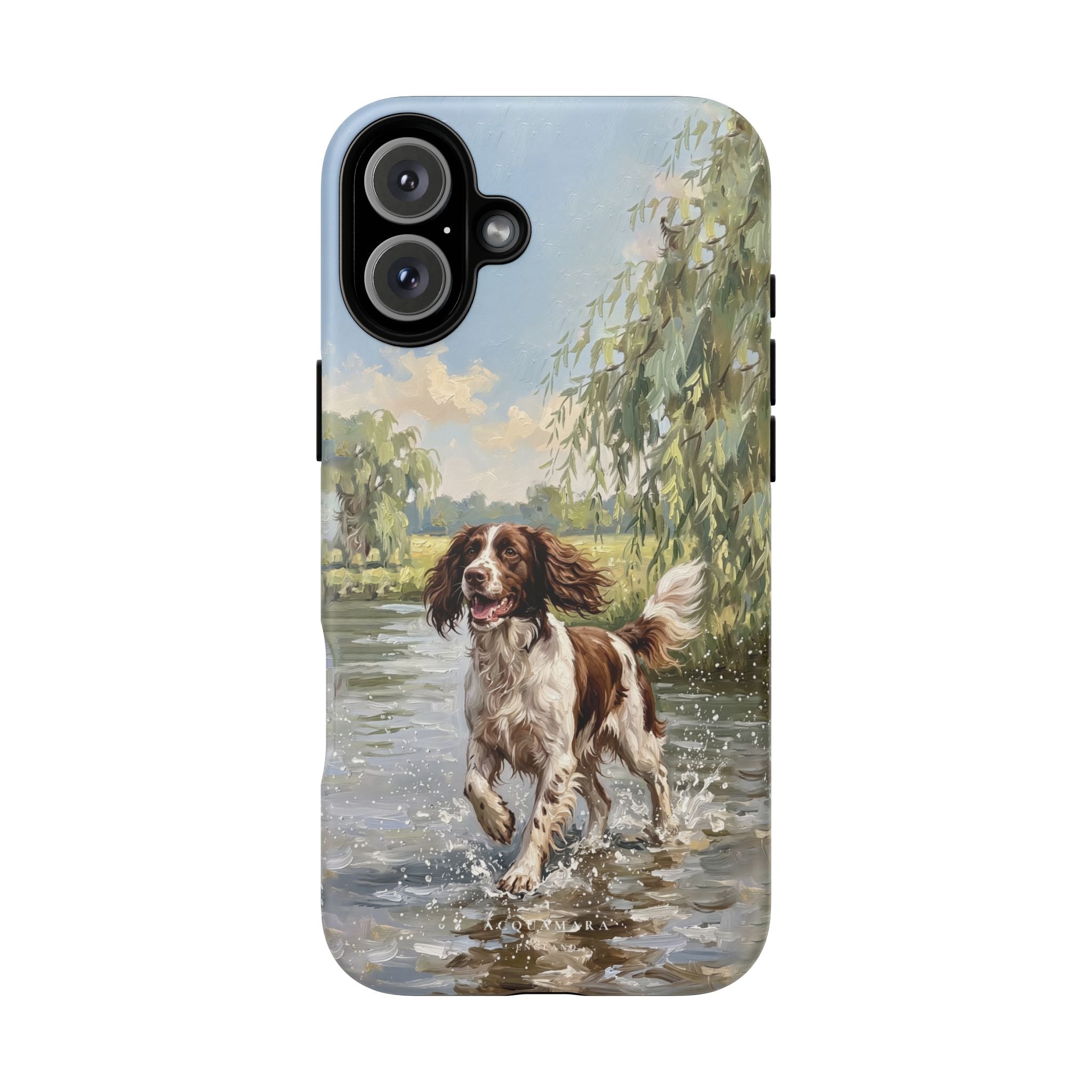 The Springer Spaniel (Liver and White)