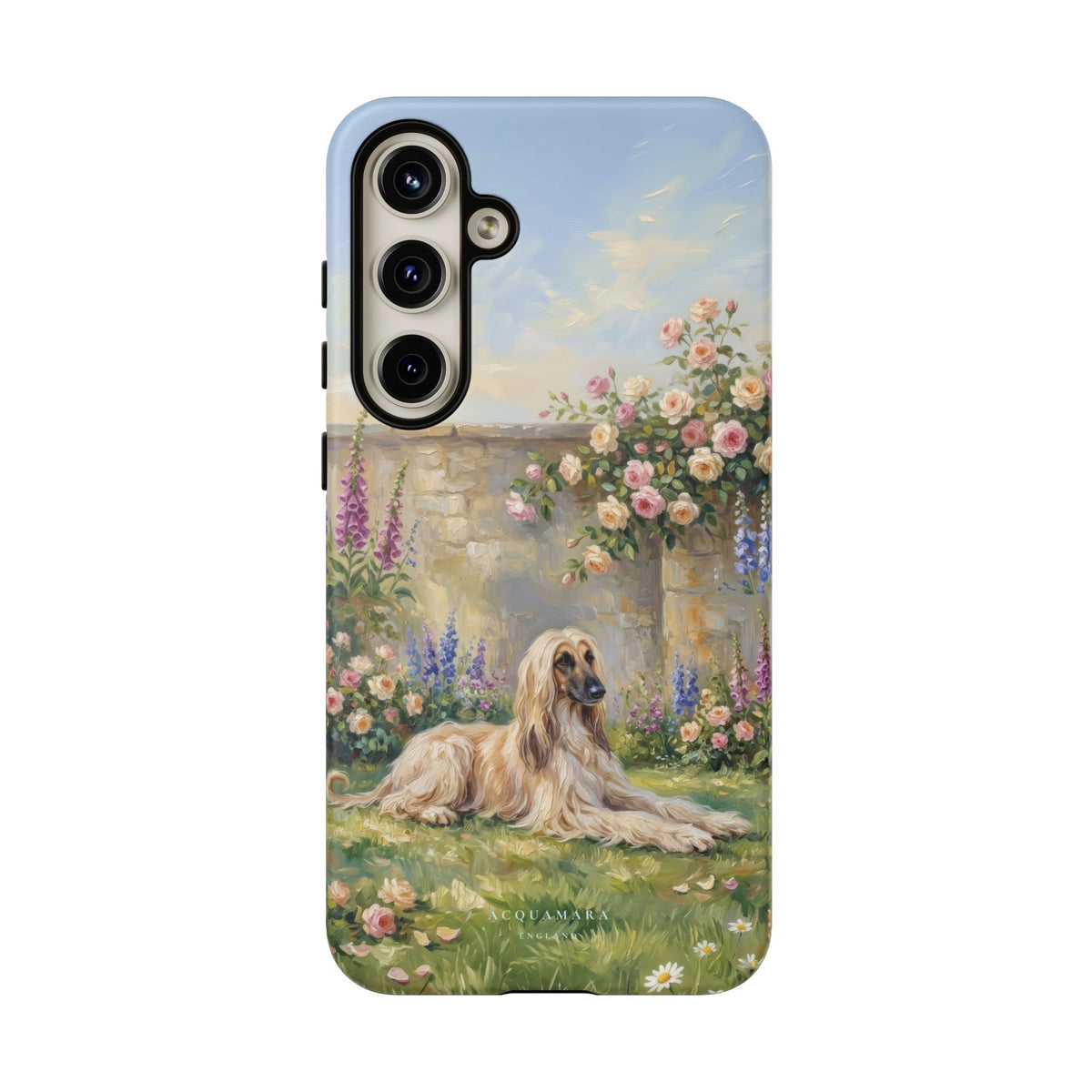 The Afghan Hound (Standard)
