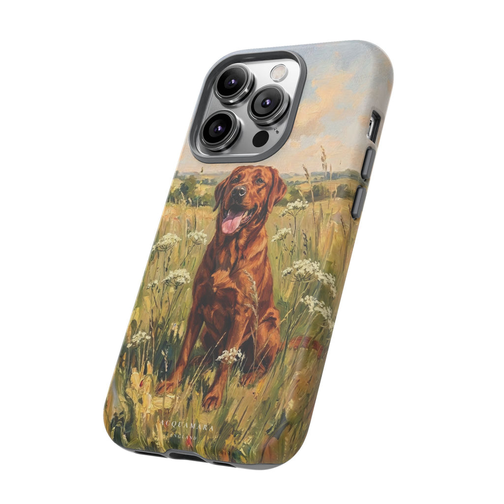 The Labrador (Red)