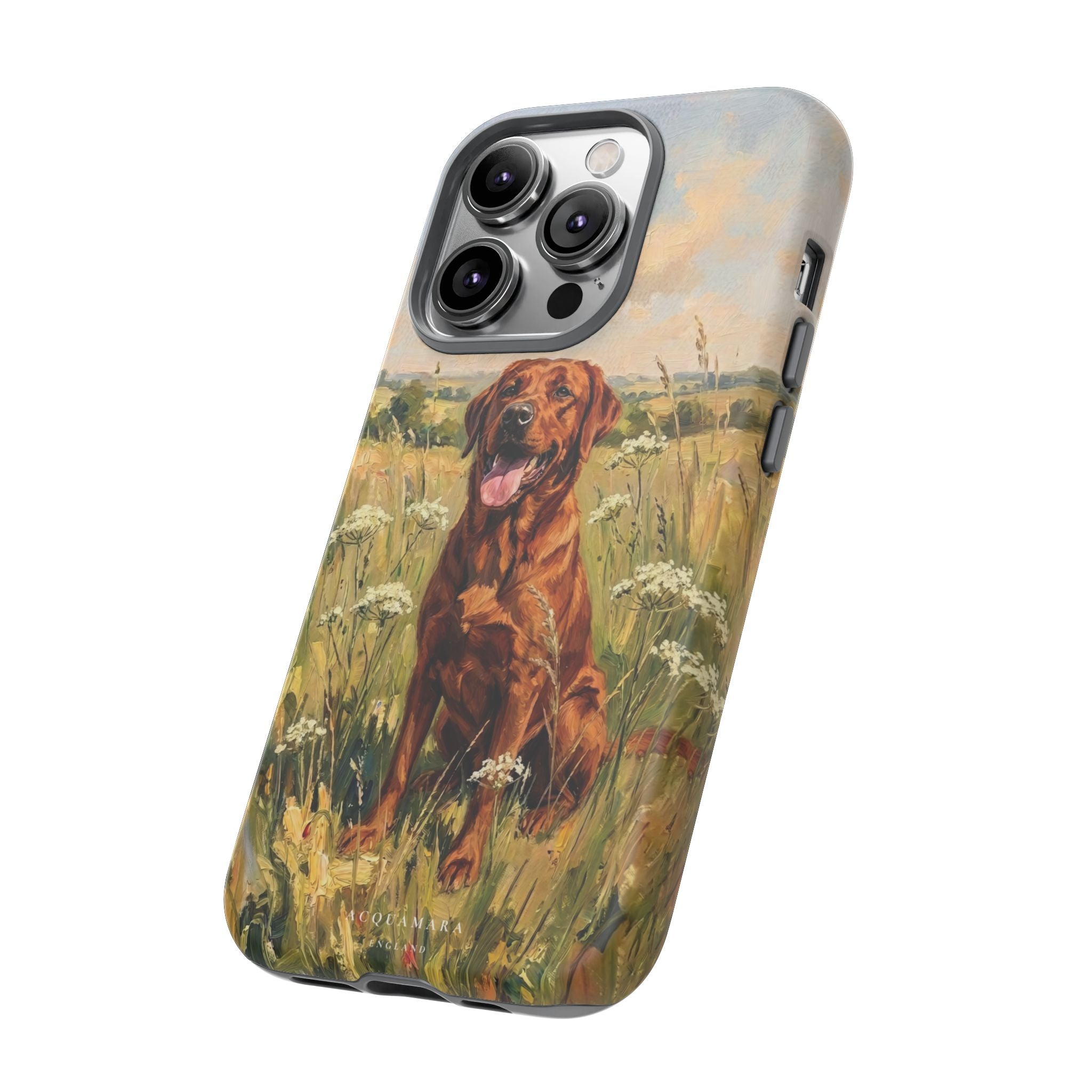 The Labrador (Red)