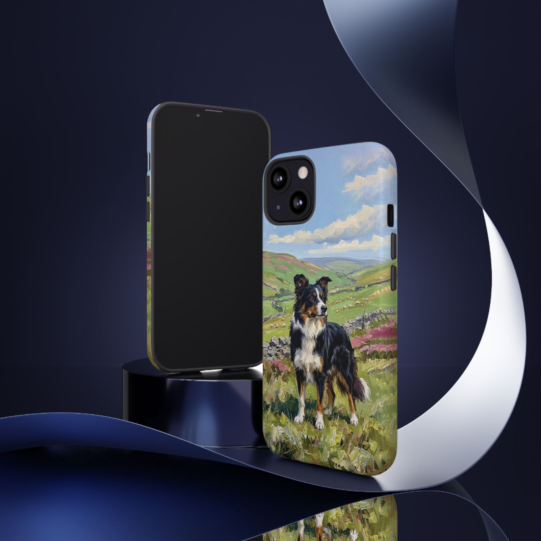 The Border Collie