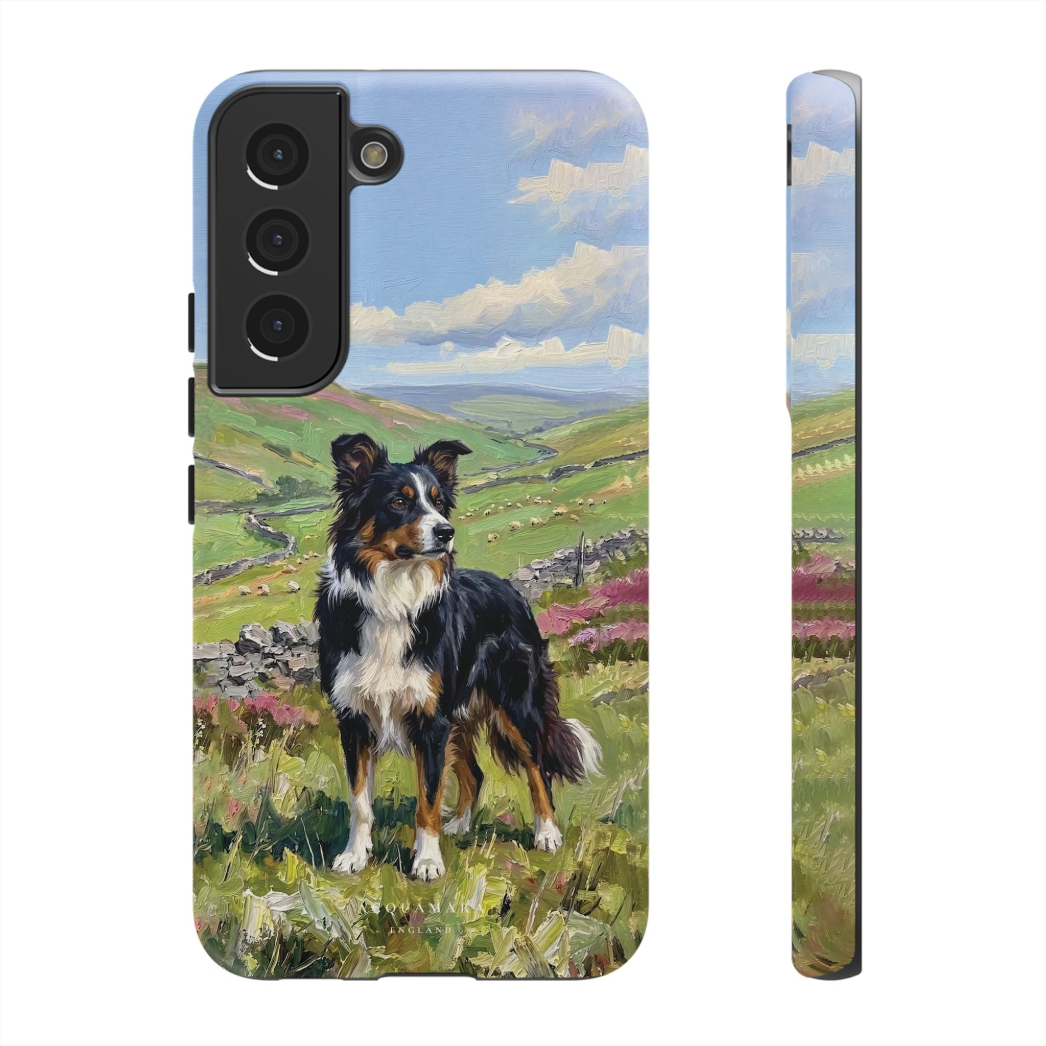 The Border Collie