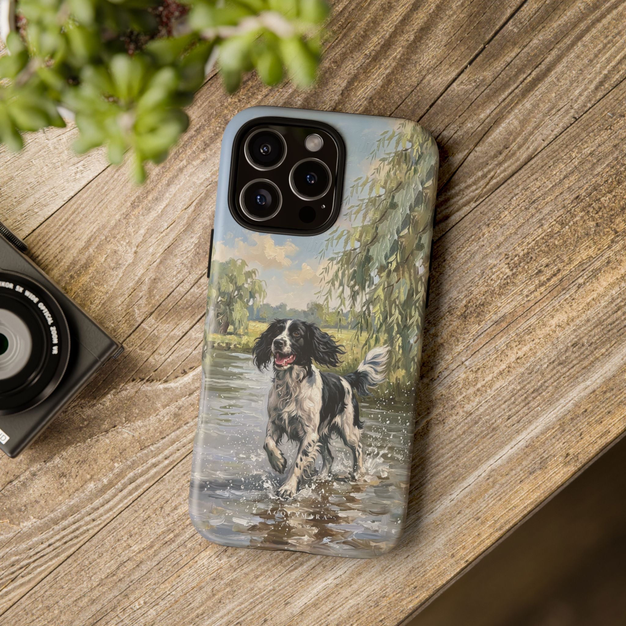 The Springer Spaniel (Black and White)