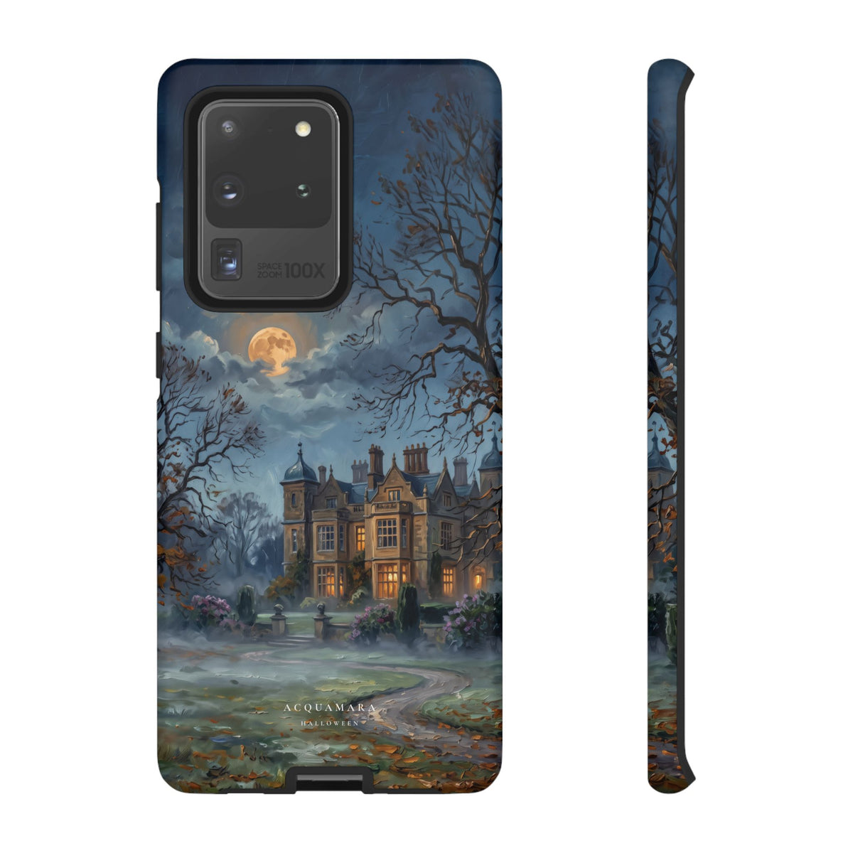 Dusk at the Manor