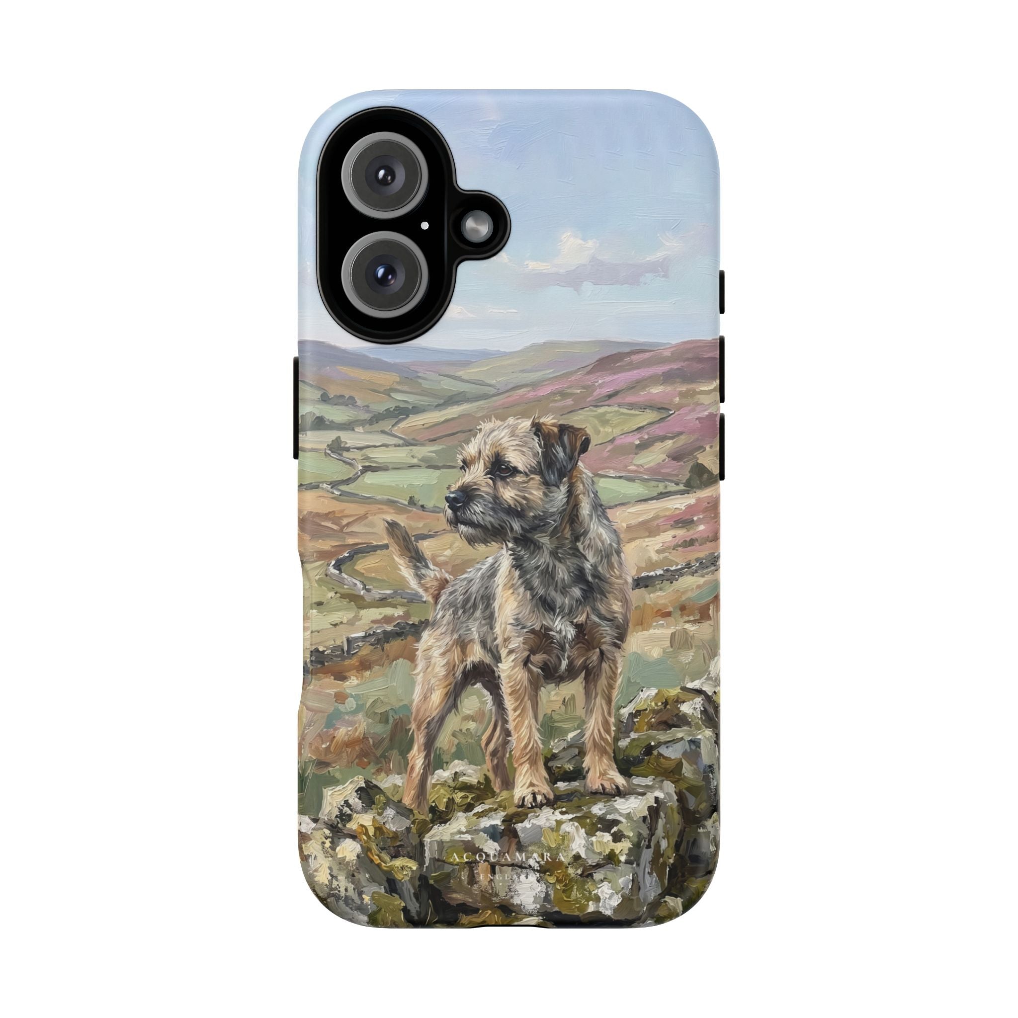 The Border Terrier (Grizzle and Tan)