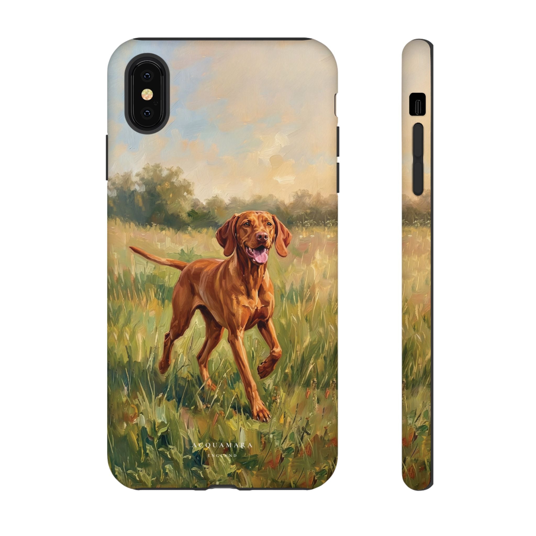 The Hungarian Vizsla