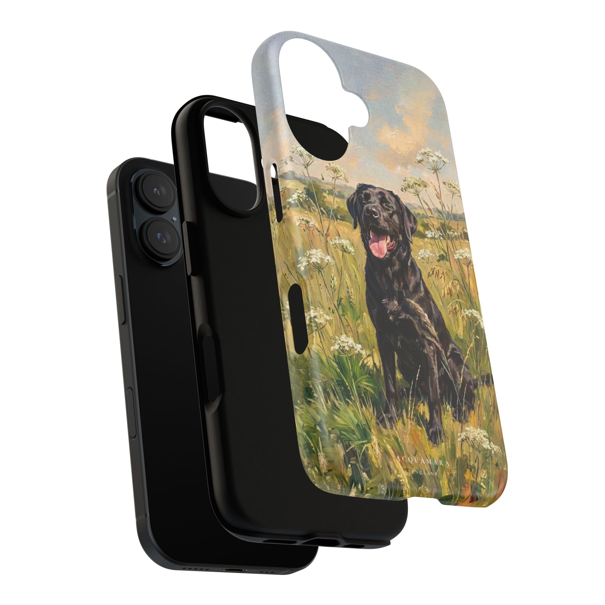 The Labrador (Black)