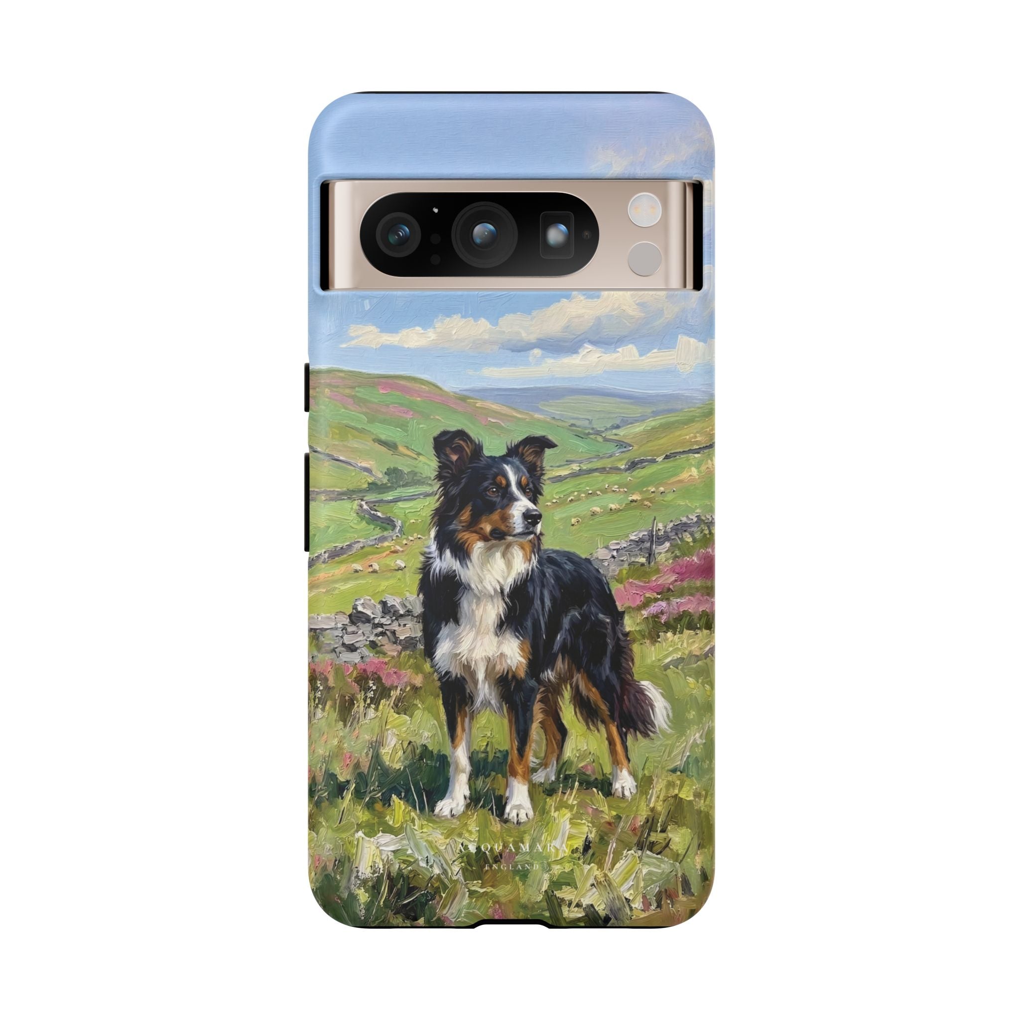 The Border Collie