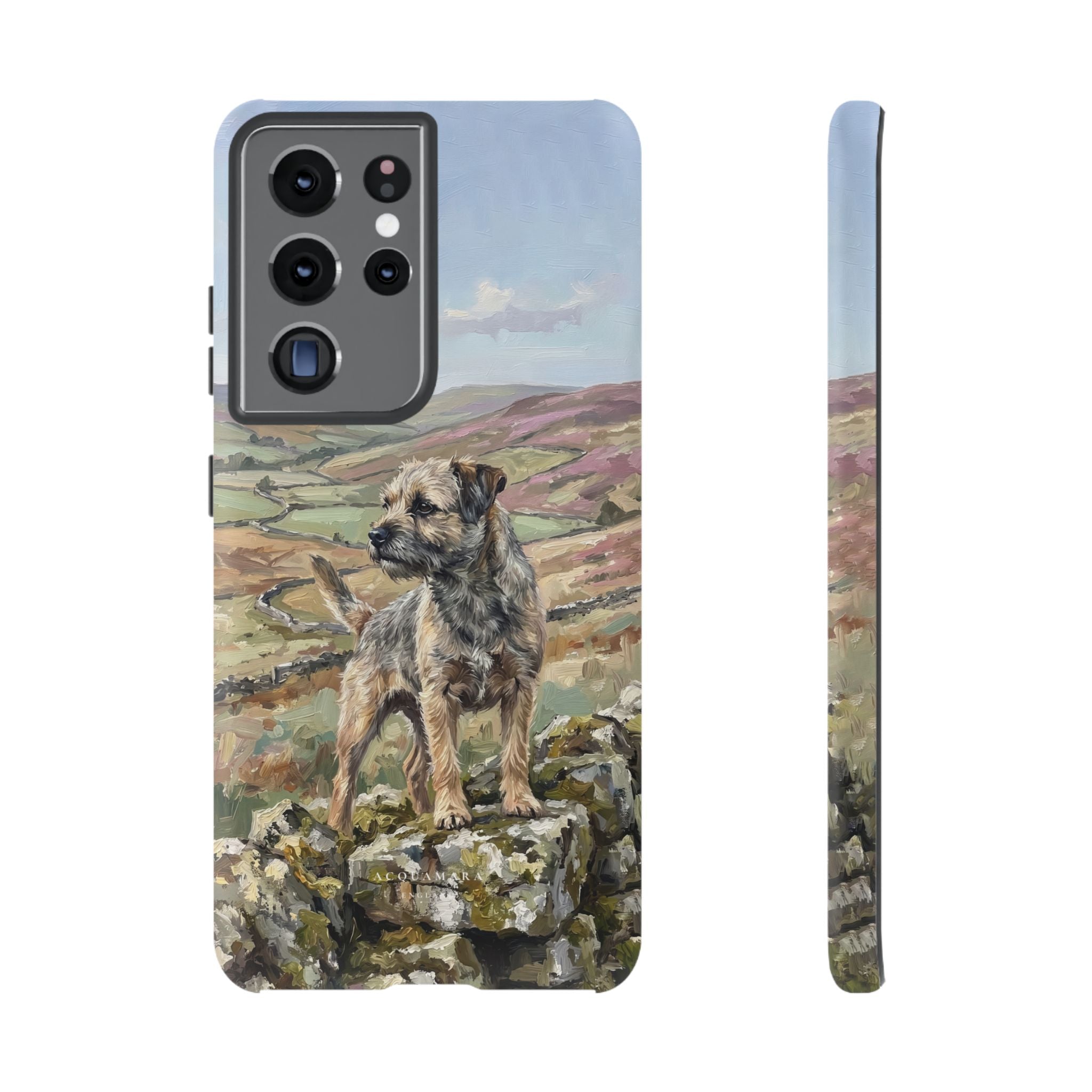 The Border Terrier (Grizzle and Tan)