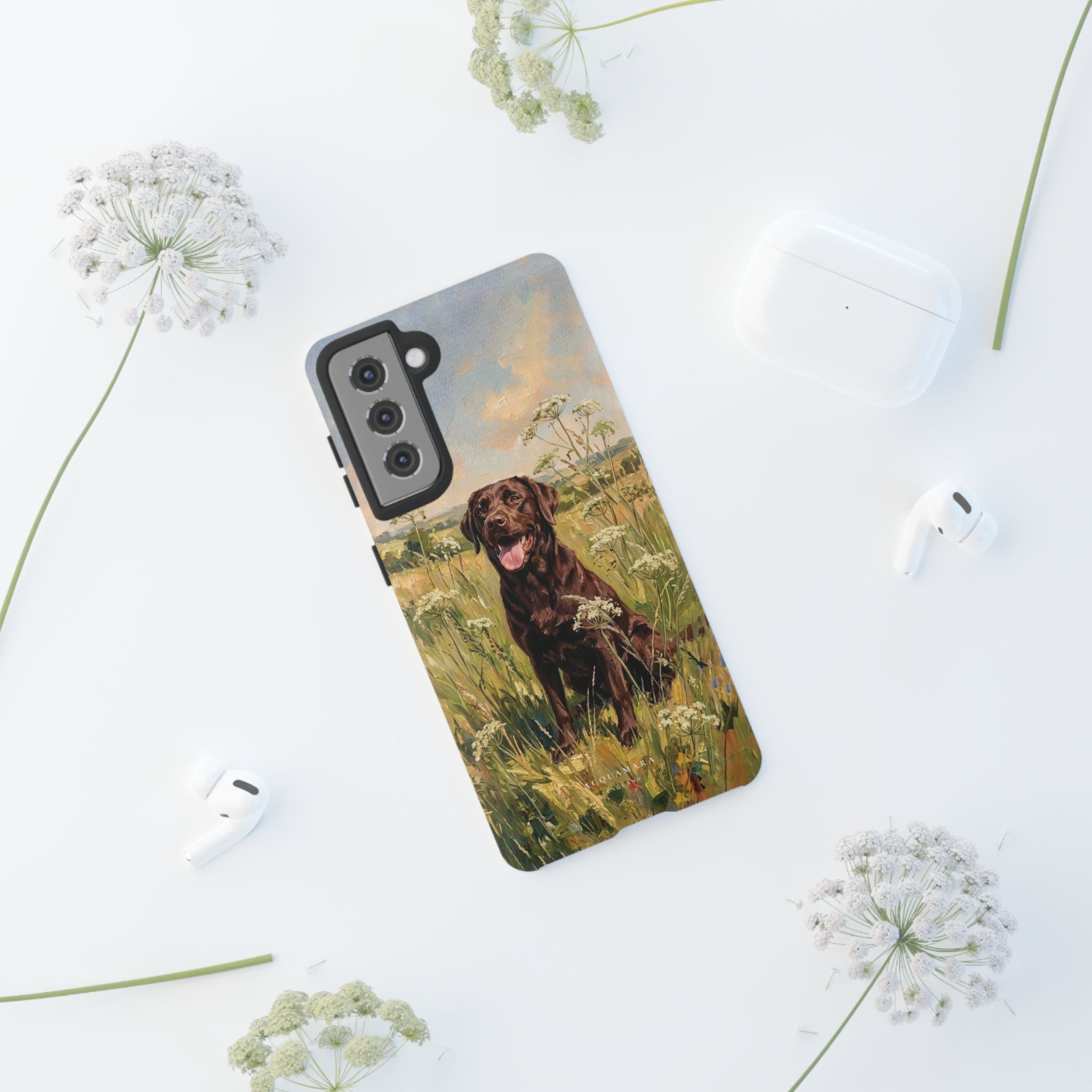 The Labrador (Chocolate)