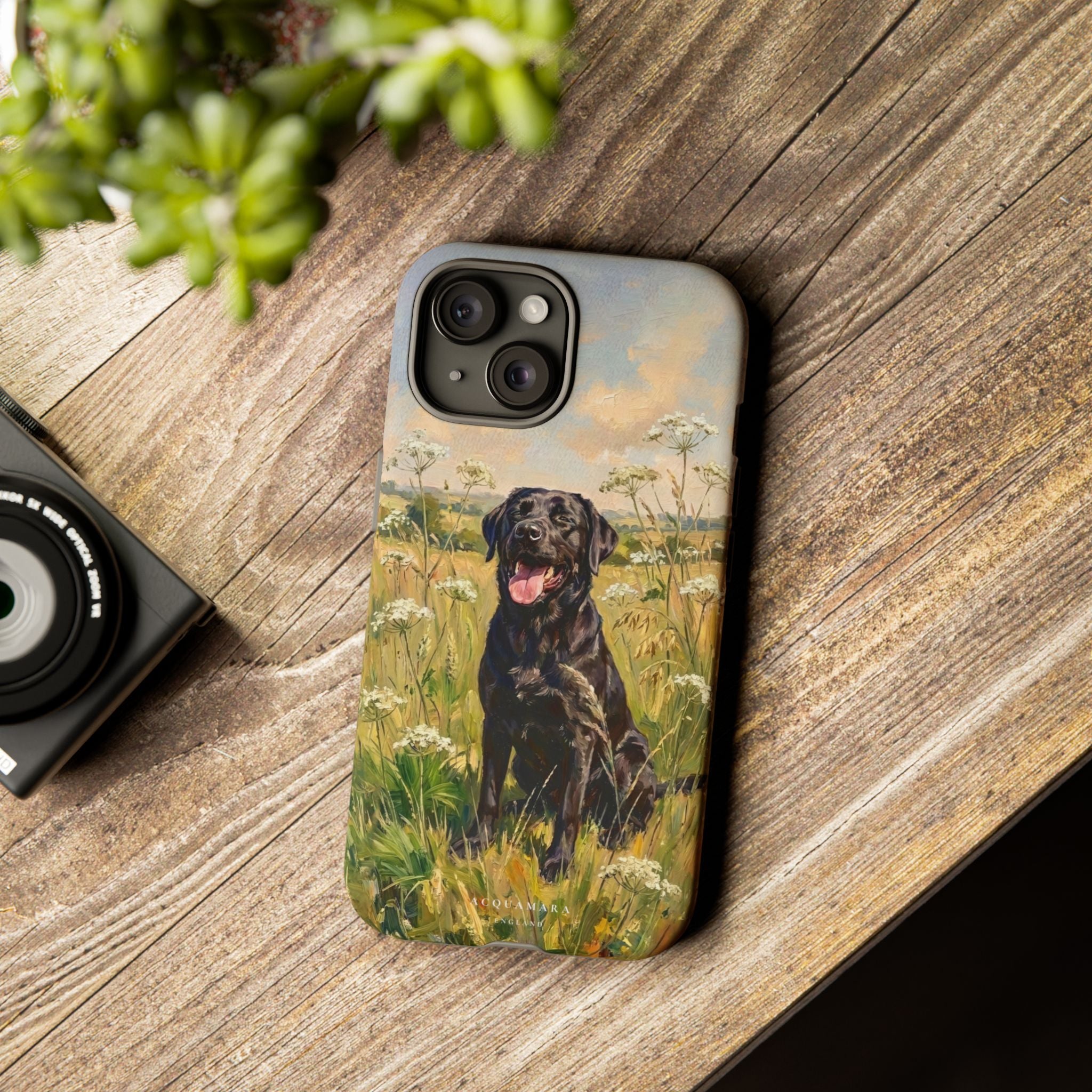 The Labrador (Black)