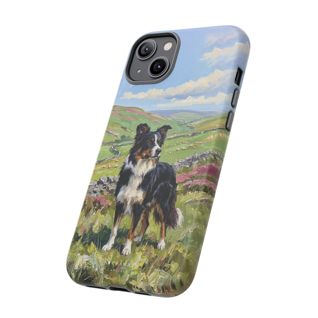 The Border Collie