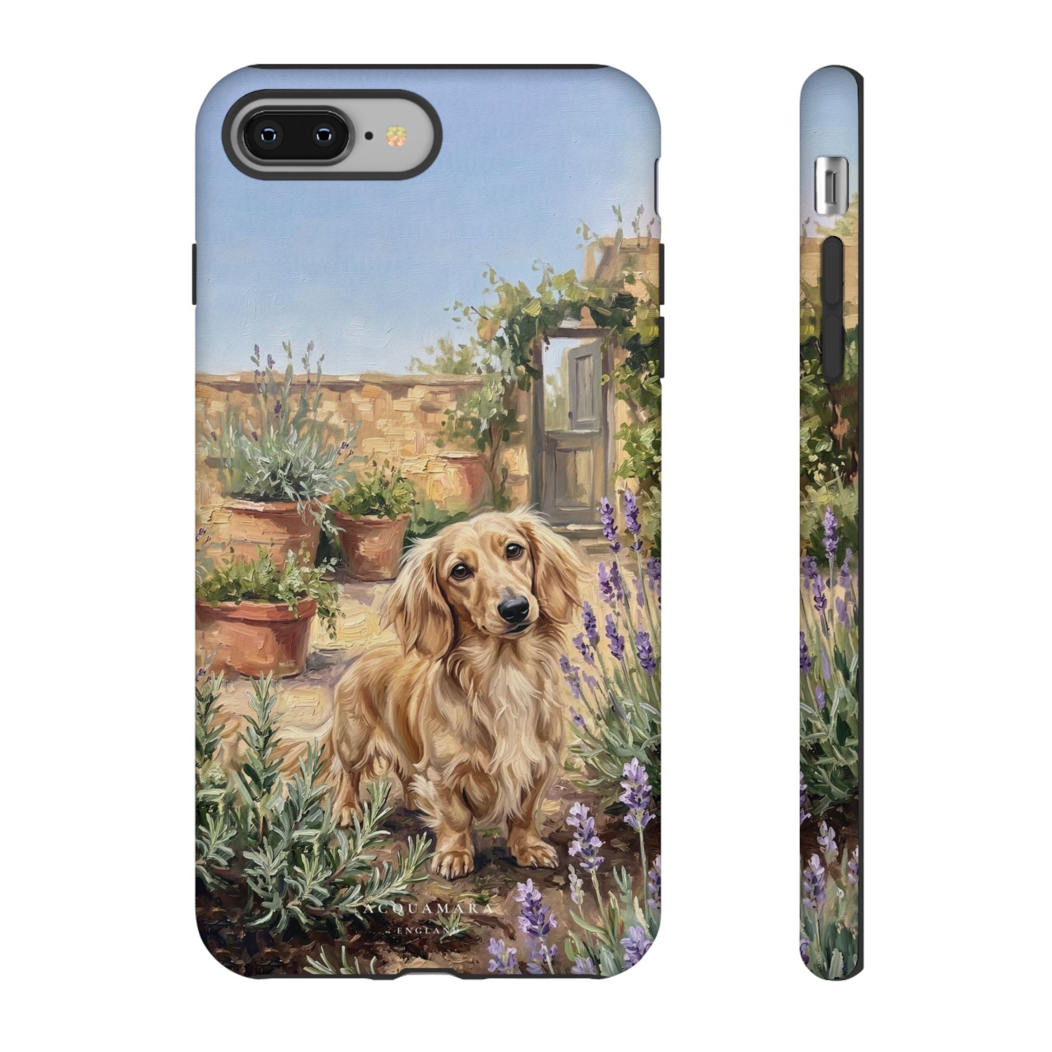 The Dachshund (Blonde long hair)