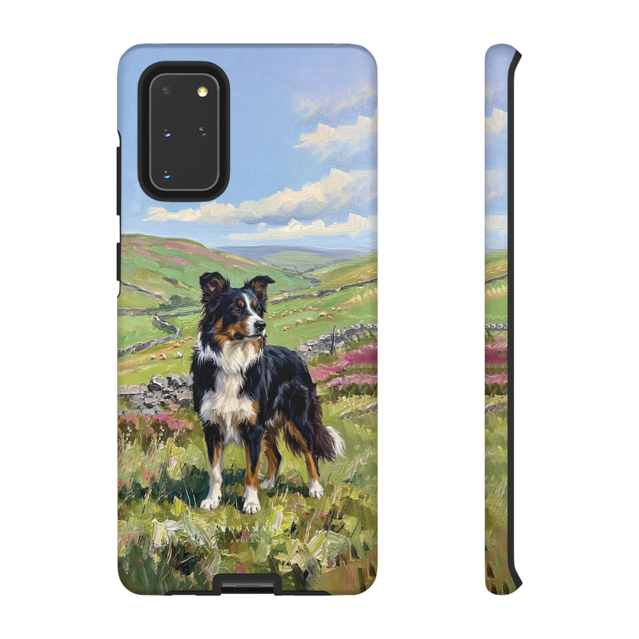 The Border Collie