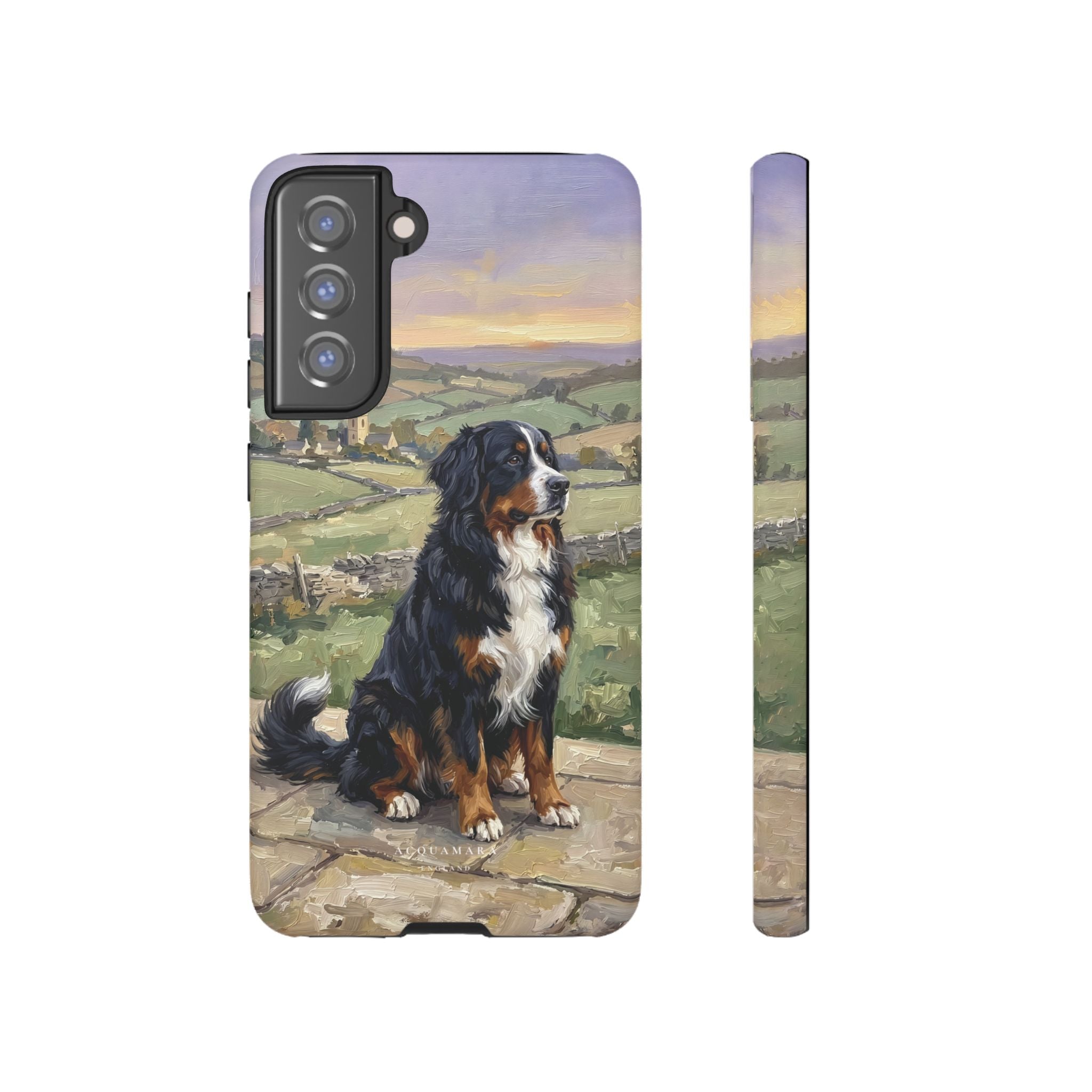 The Bernese Mountain Dog