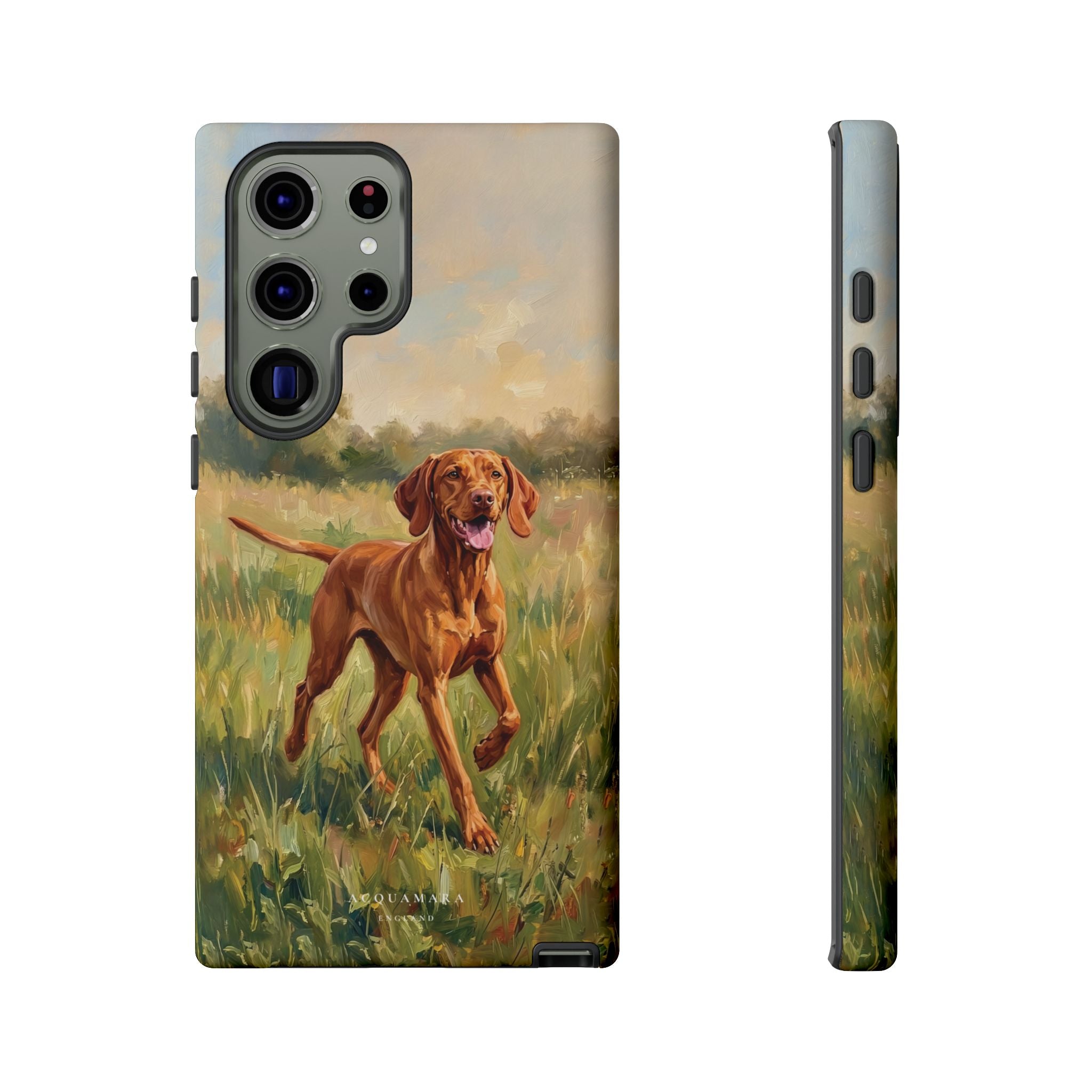 The Hungarian Vizsla