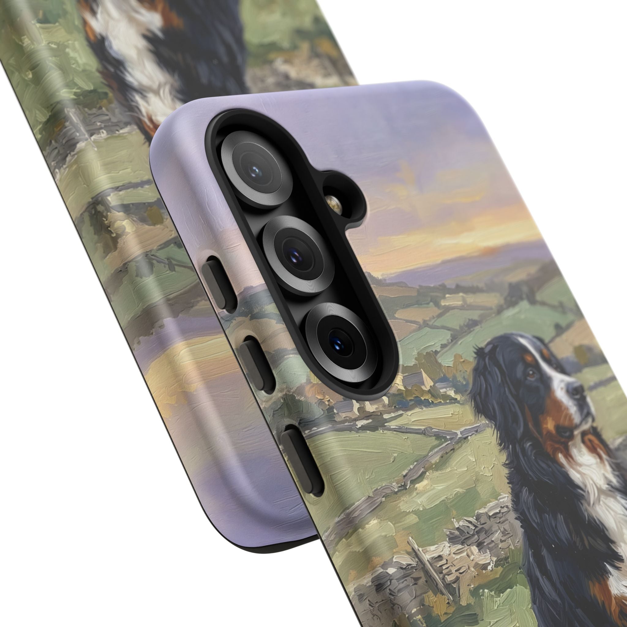 The Bernese Mountain Dog