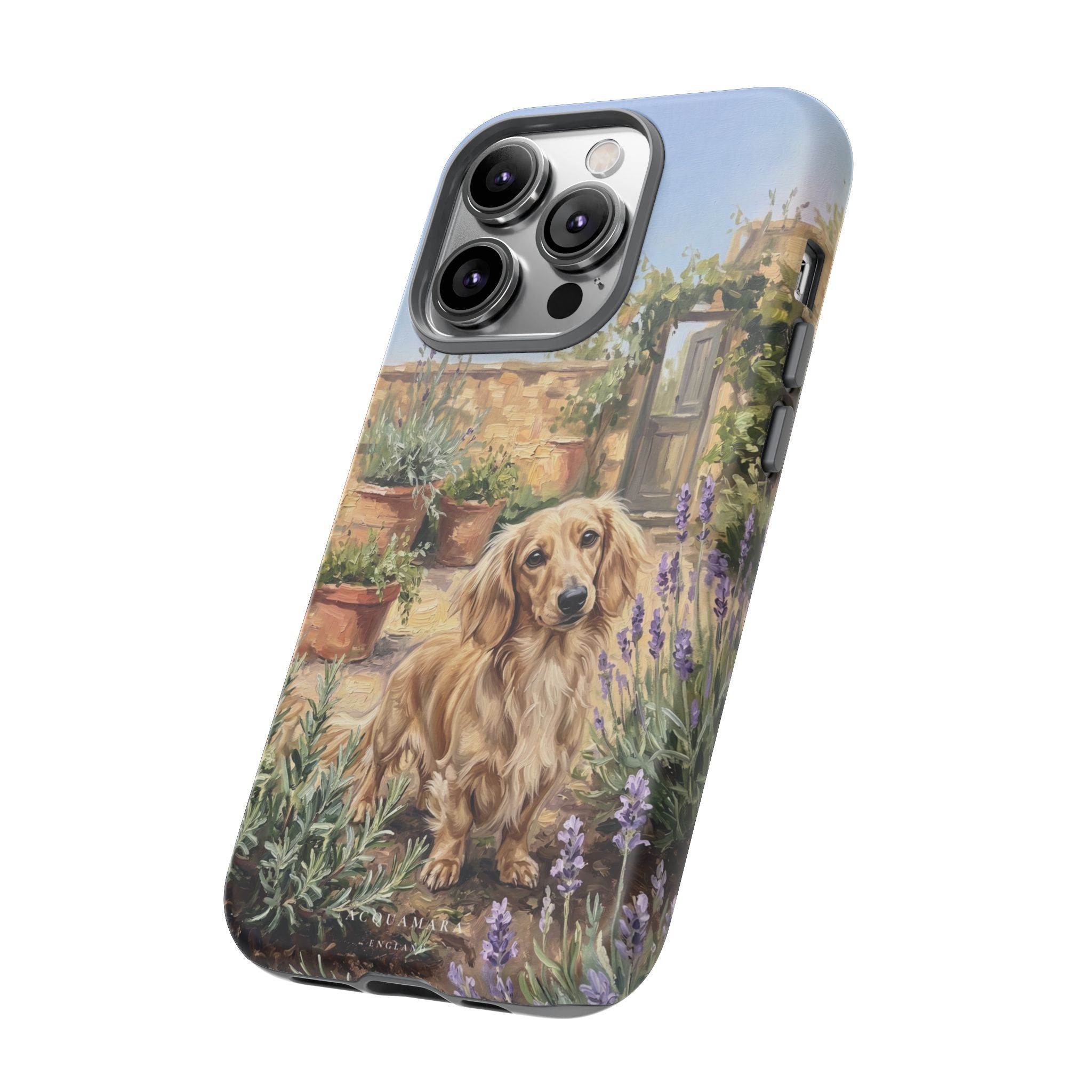 The Dachshund (Blonde long hair)