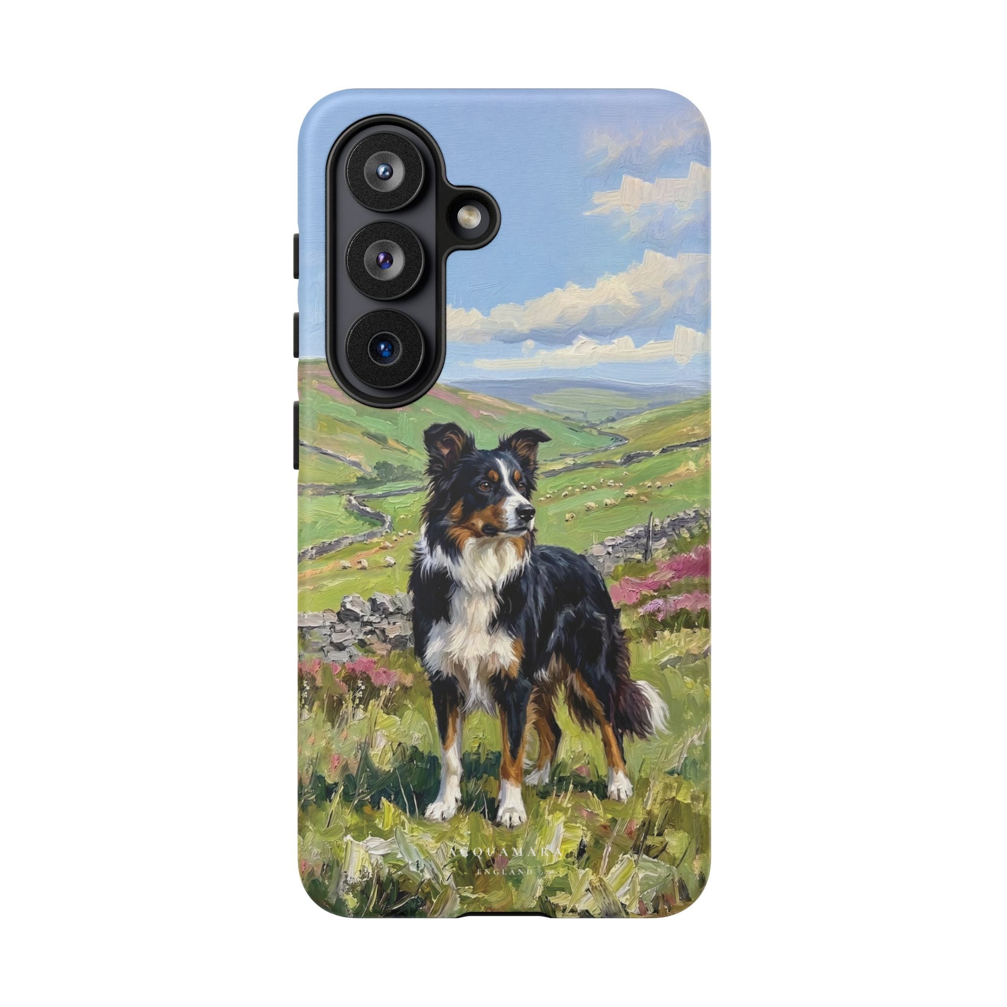 The Border Collie