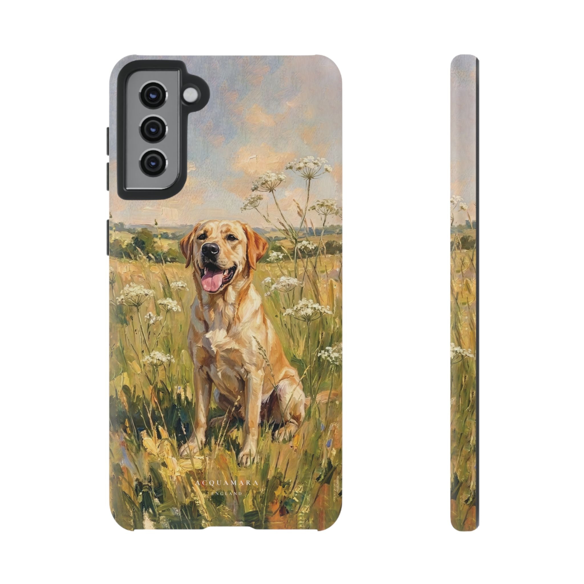 The Labrador (Yellow)