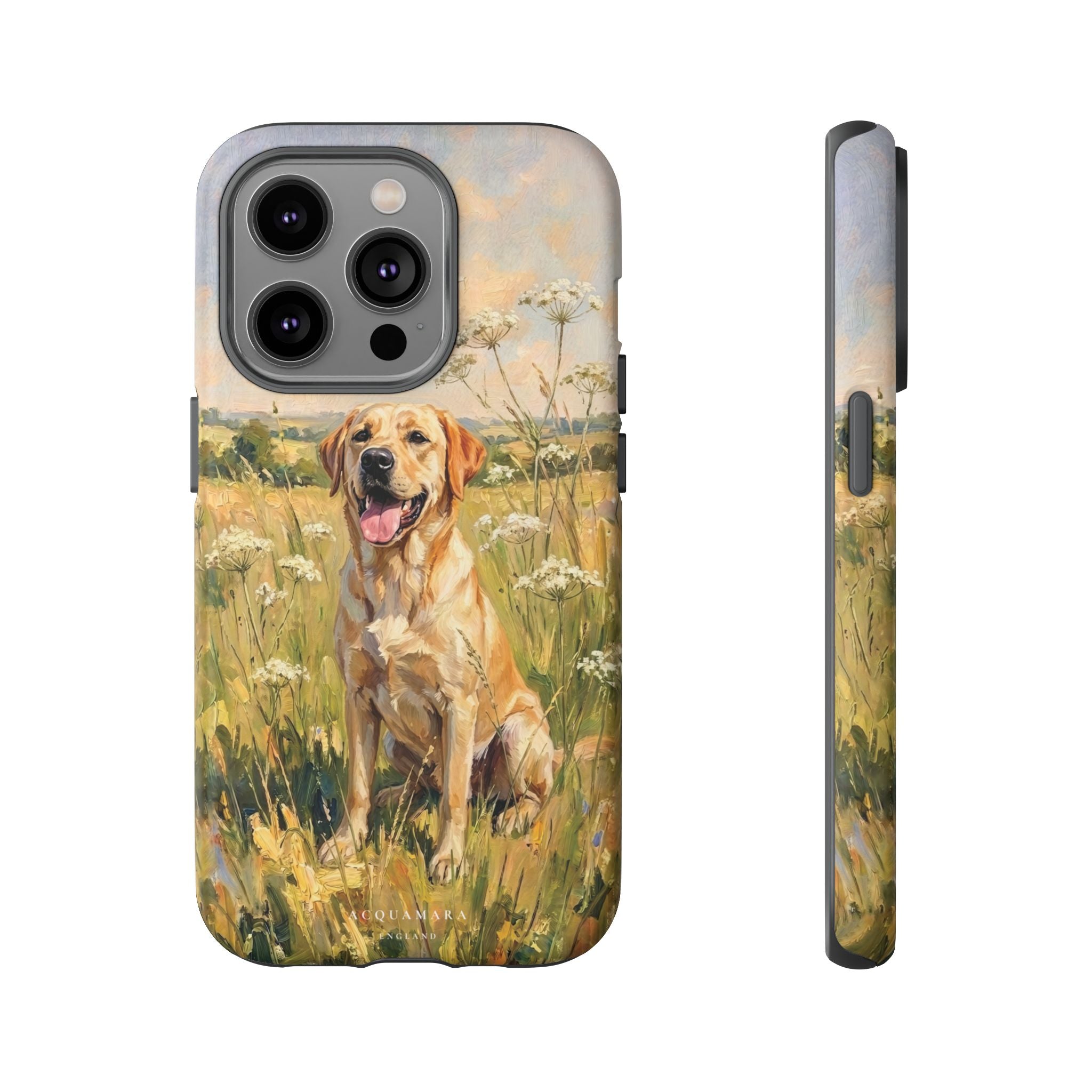 The Labrador (Yellow)