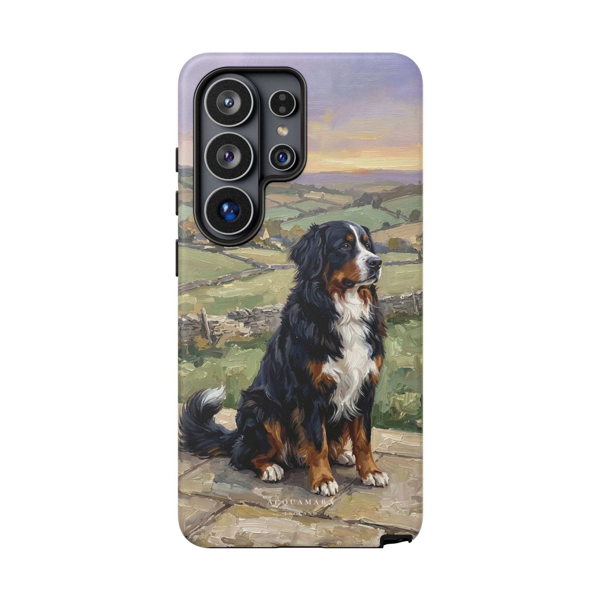 The Bernese Mountain Dog